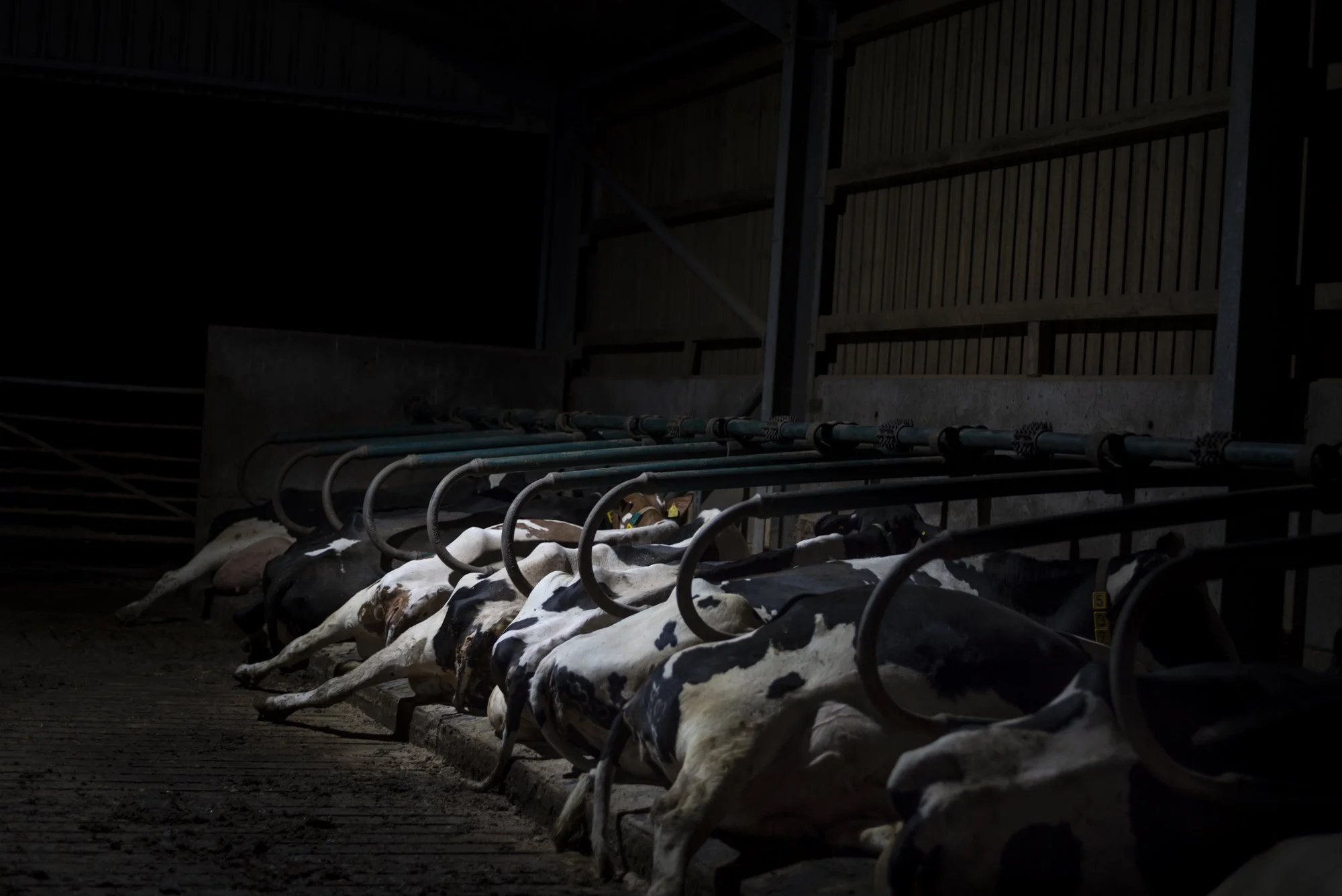 Sleeping_Behind Closed Doors.jpg