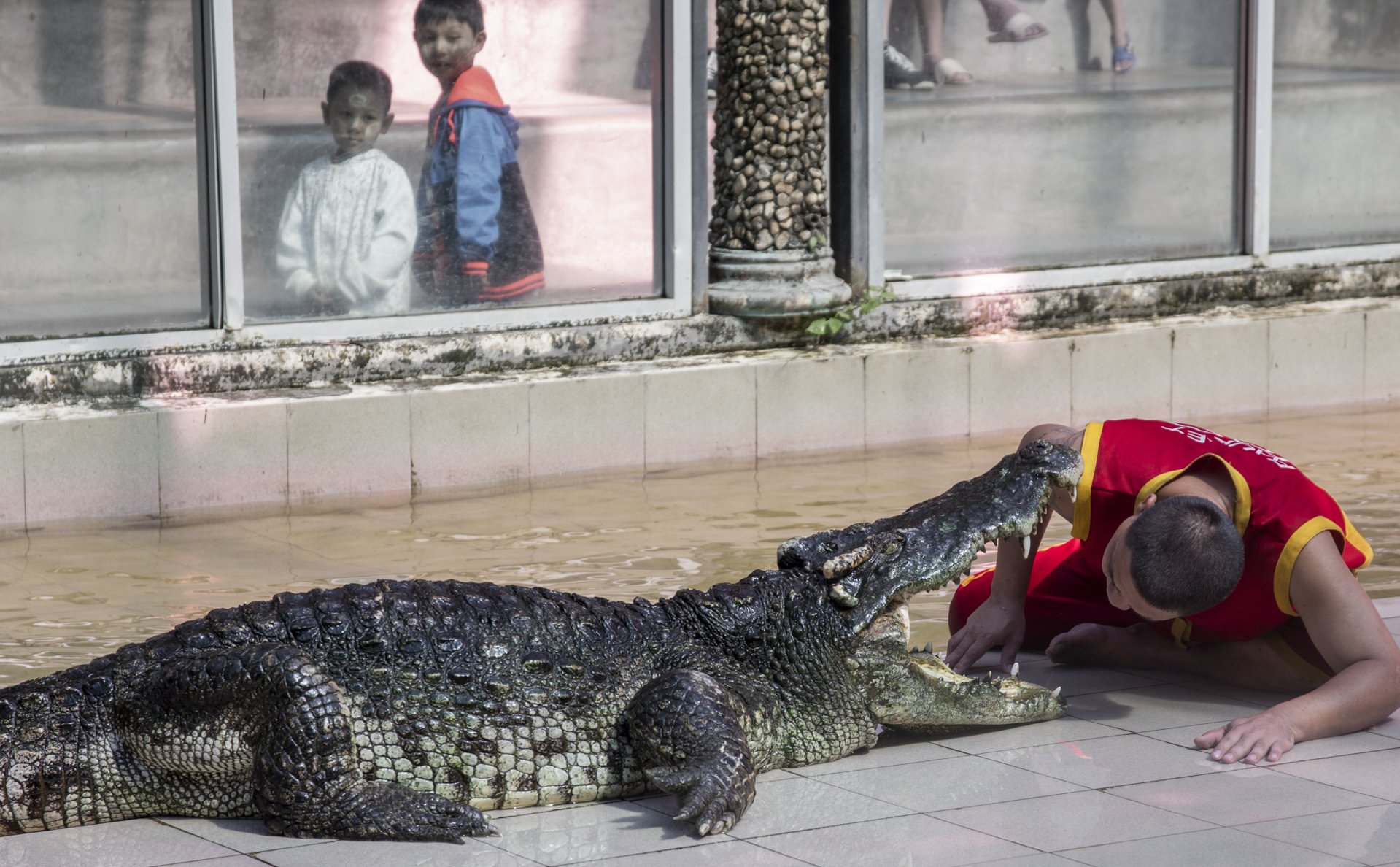 PhuketZoo_Thailand_AJones_2019-36.jpg