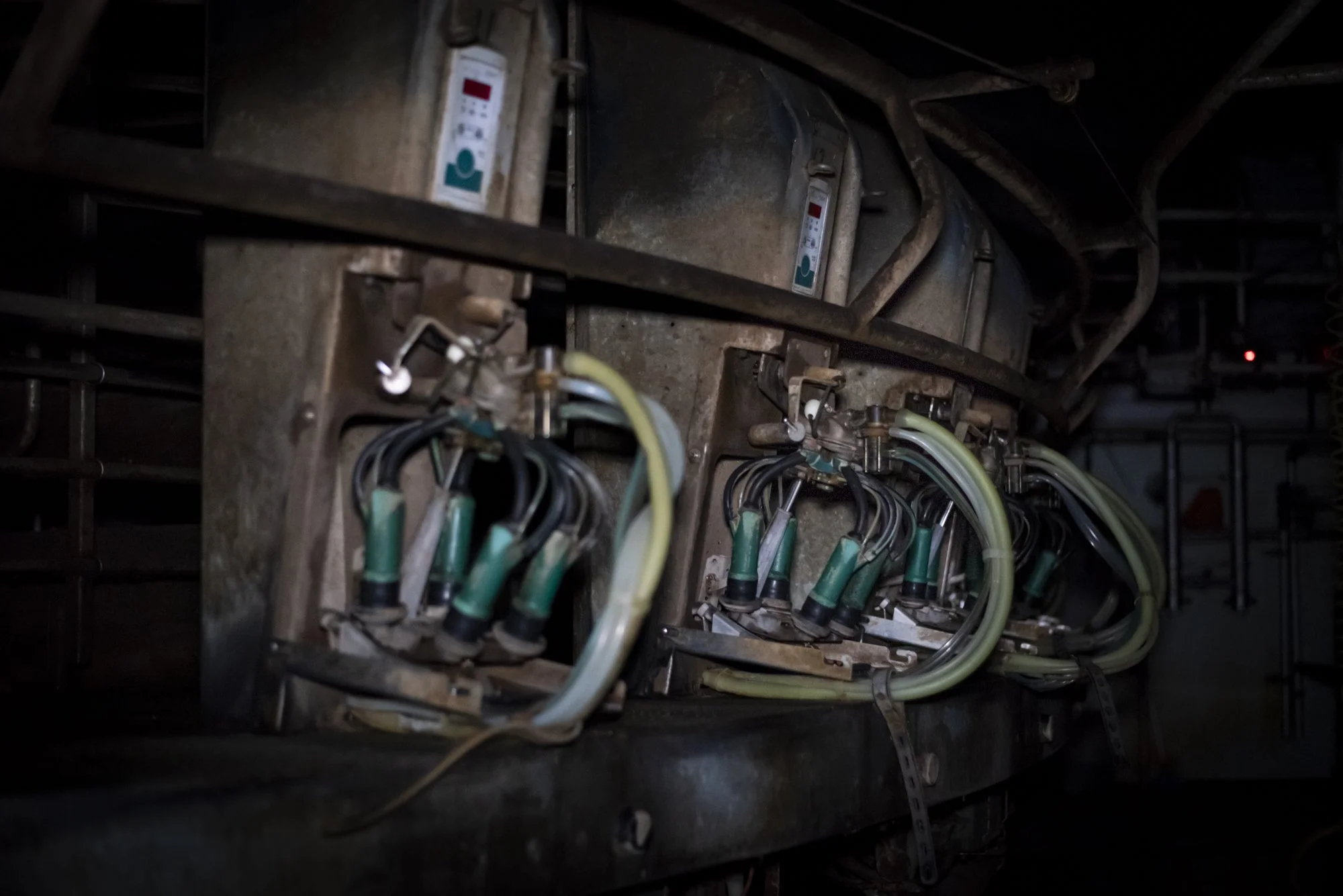 Milking_Behind Closed Doors-2.jpg