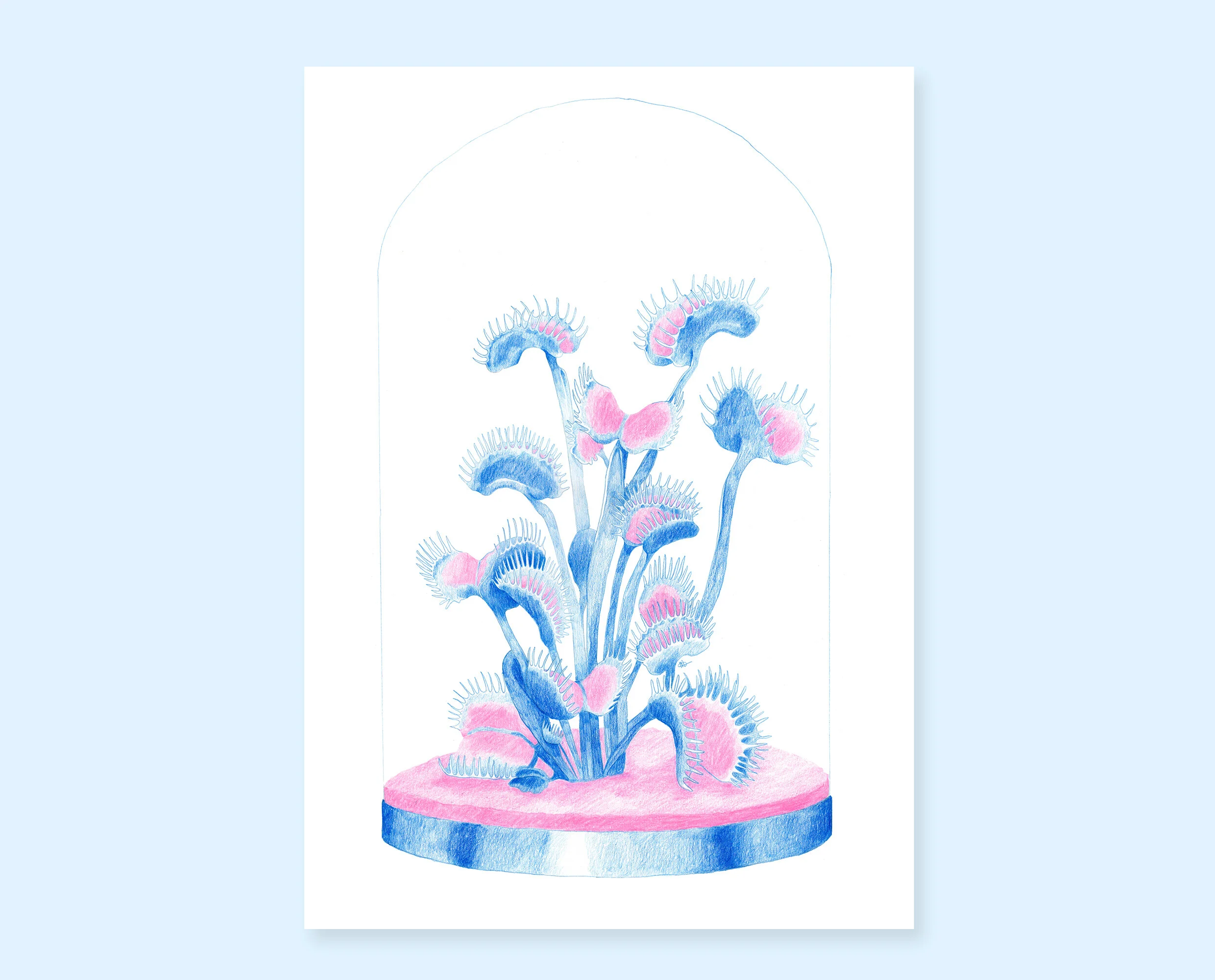 Creepy plant drawing