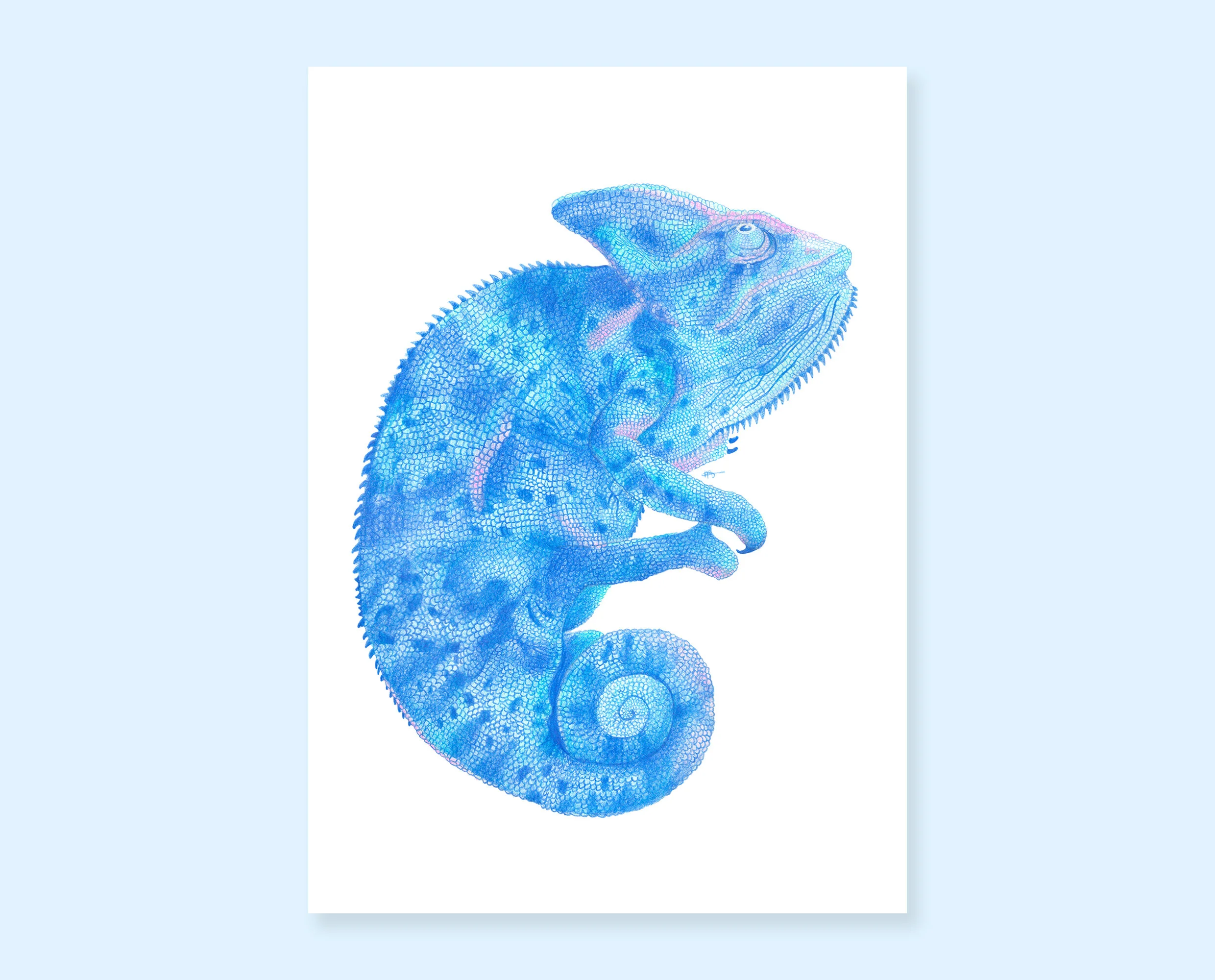 Chameleon drawing