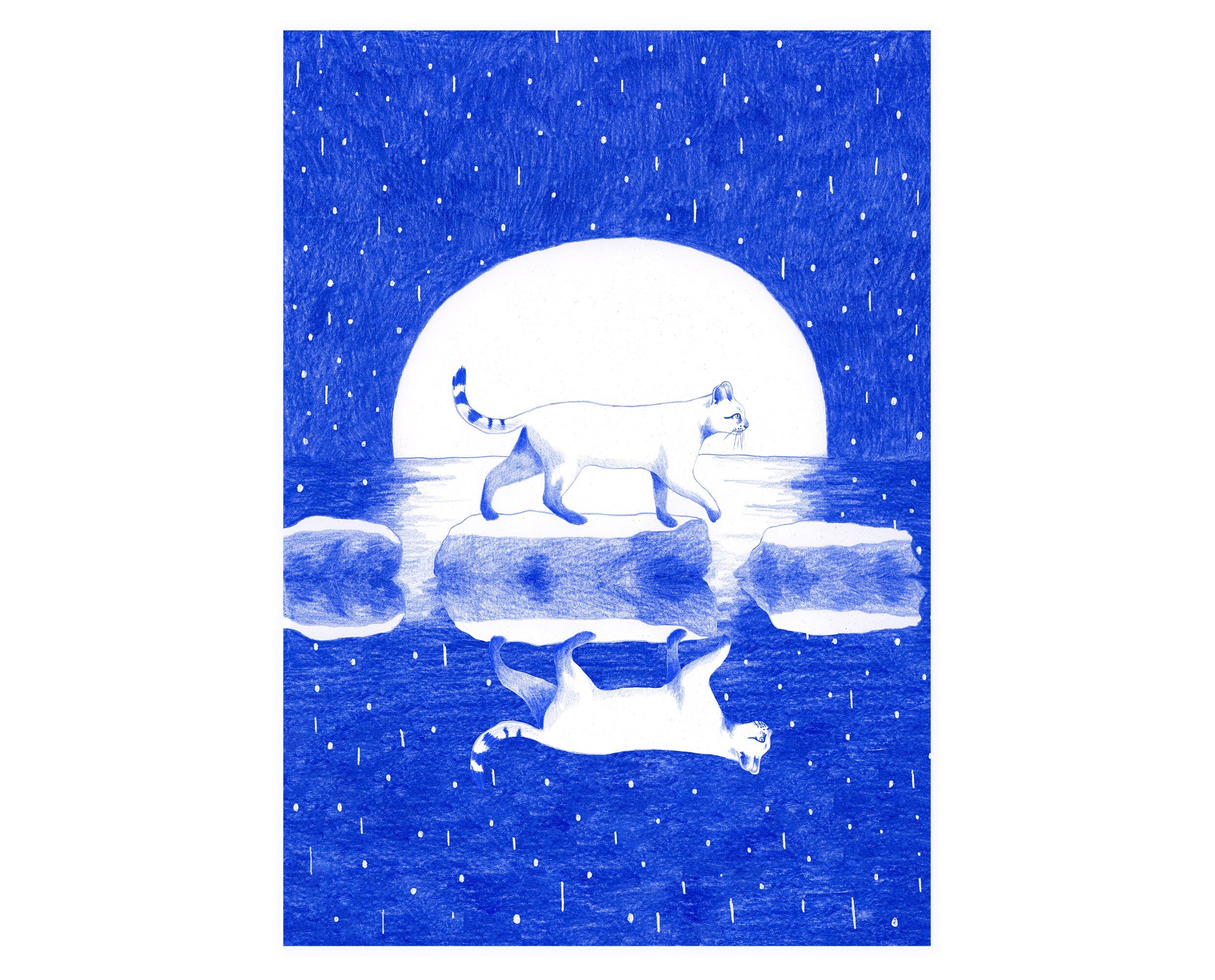 Art print dreamy cat starry night. Dreamy art print for your gallery wall