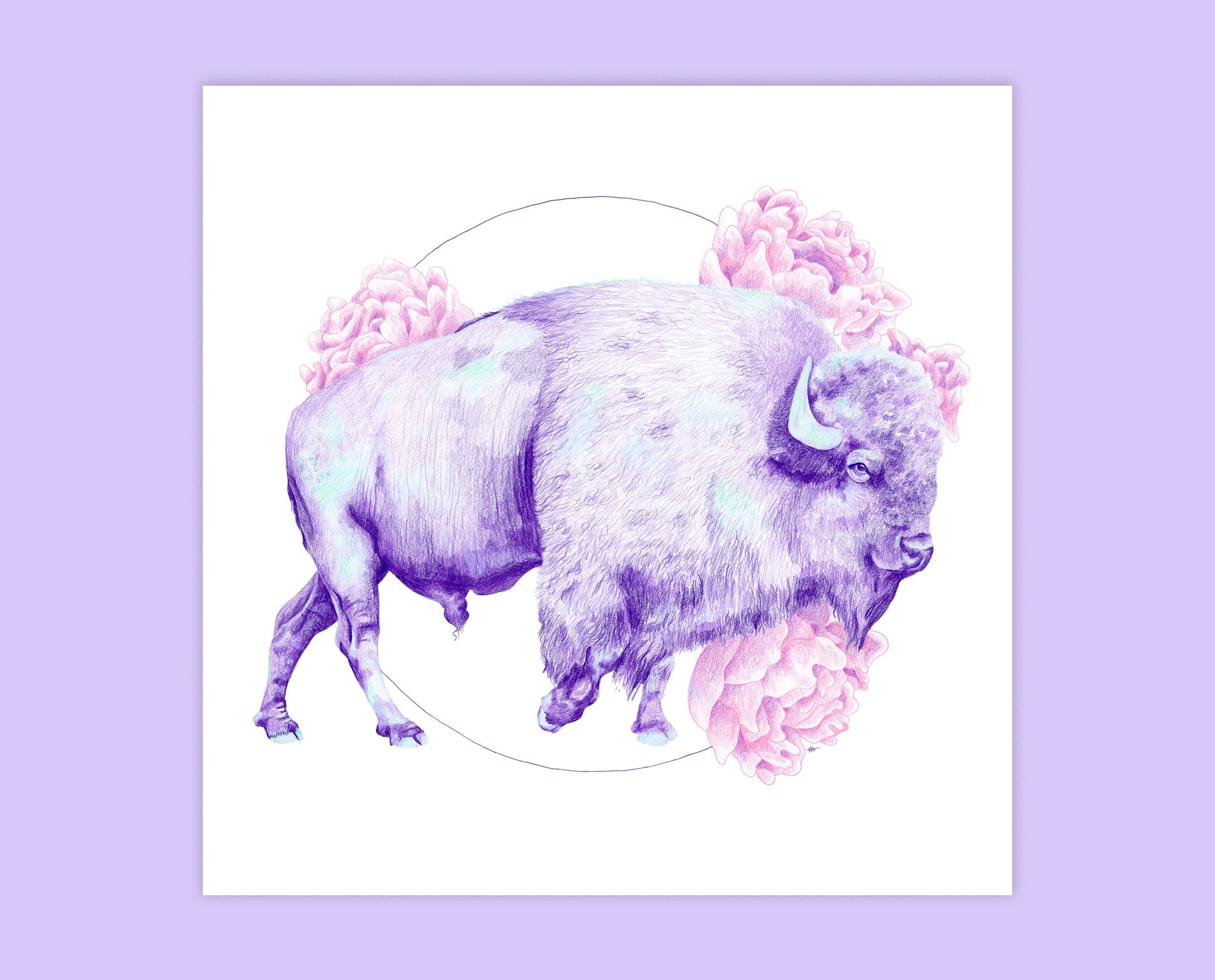 Bison greeting card. Surprise someone you love with this cute bison greeting card.