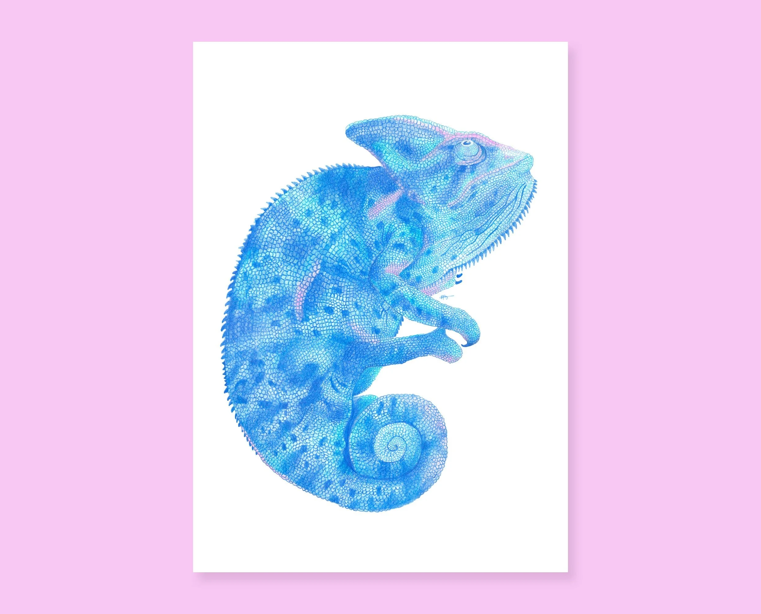 Art print of a Chameleon. Colorful cute chameleon pencil drawing, perfect for you gallery wall