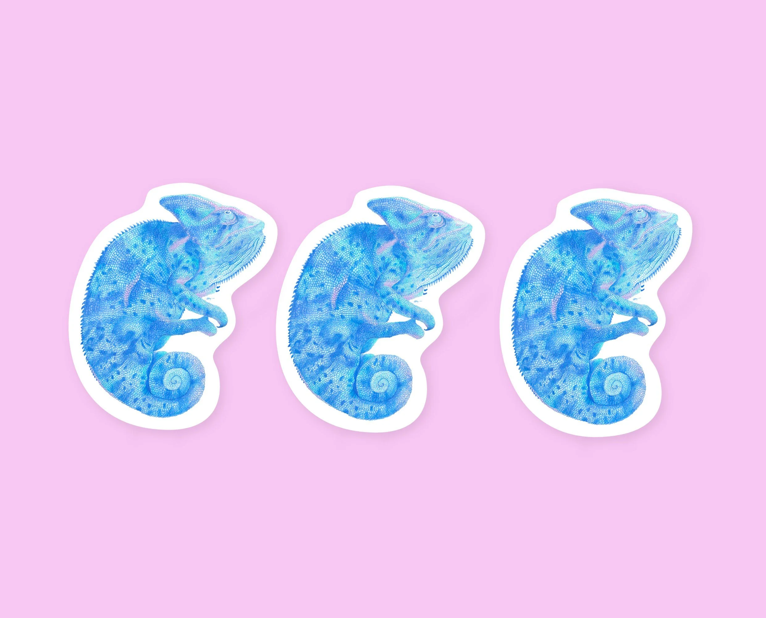 Chameleon sticker pack, set of 3 stickers. Cute stickers for your planner, bullet journal or other shenanigans.