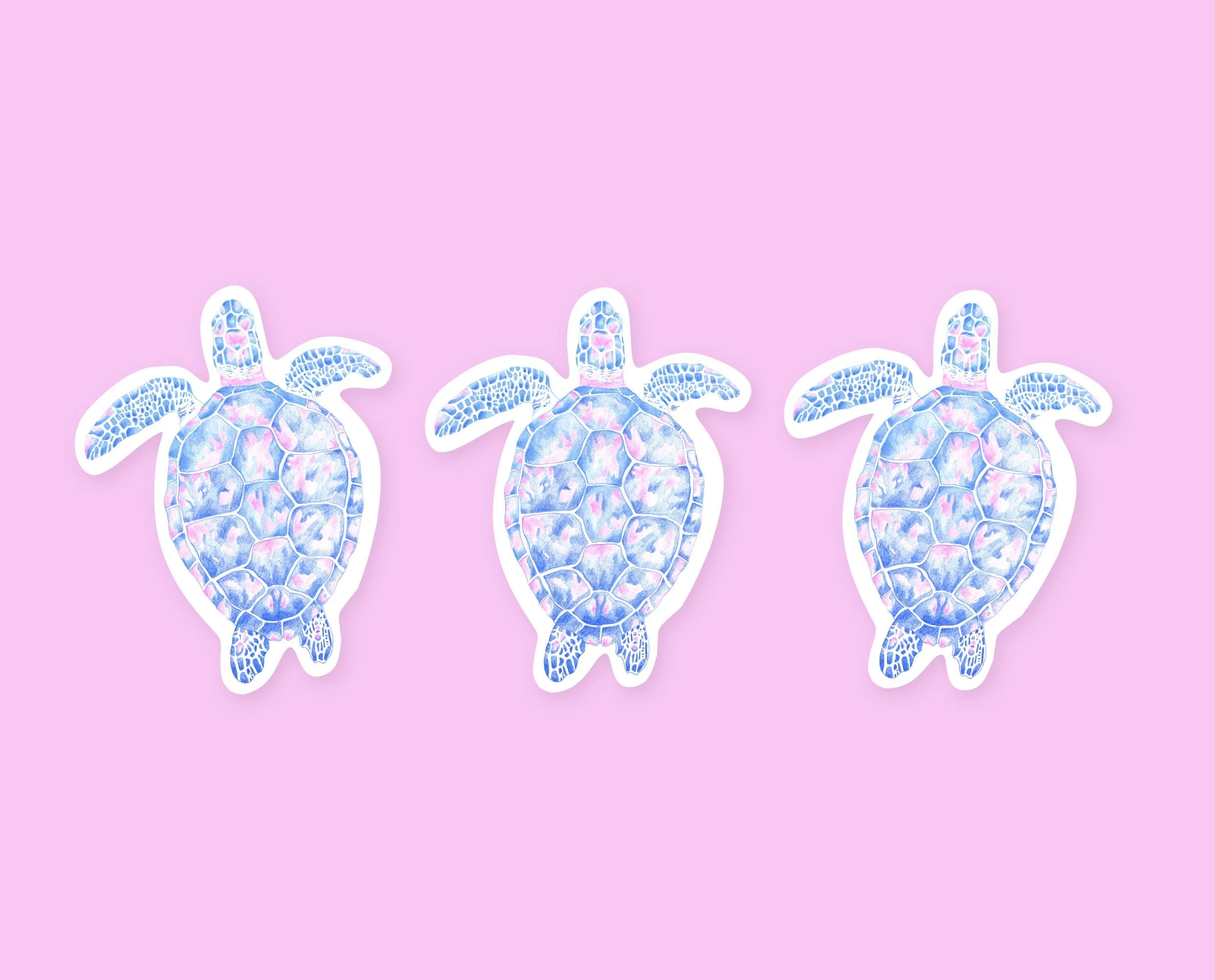 Sea turtle sticker pack, set of 3 stickers. Cute pencil drawing stickers for your planner, bullet journal or other shenanigans.