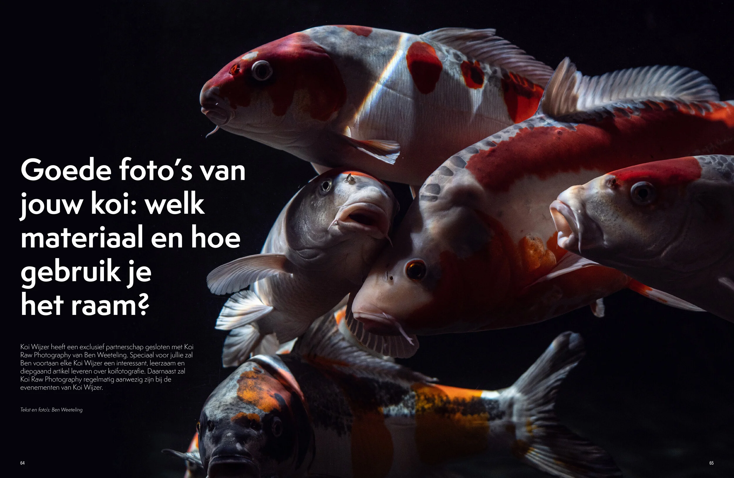 KoiWijzer4.jpg