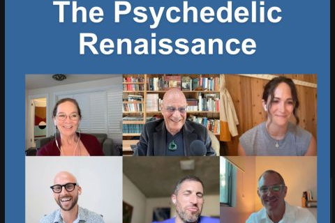 The Psychedelic Renaissance: 6 Leaders on Integration, Ethics &amp; Access
