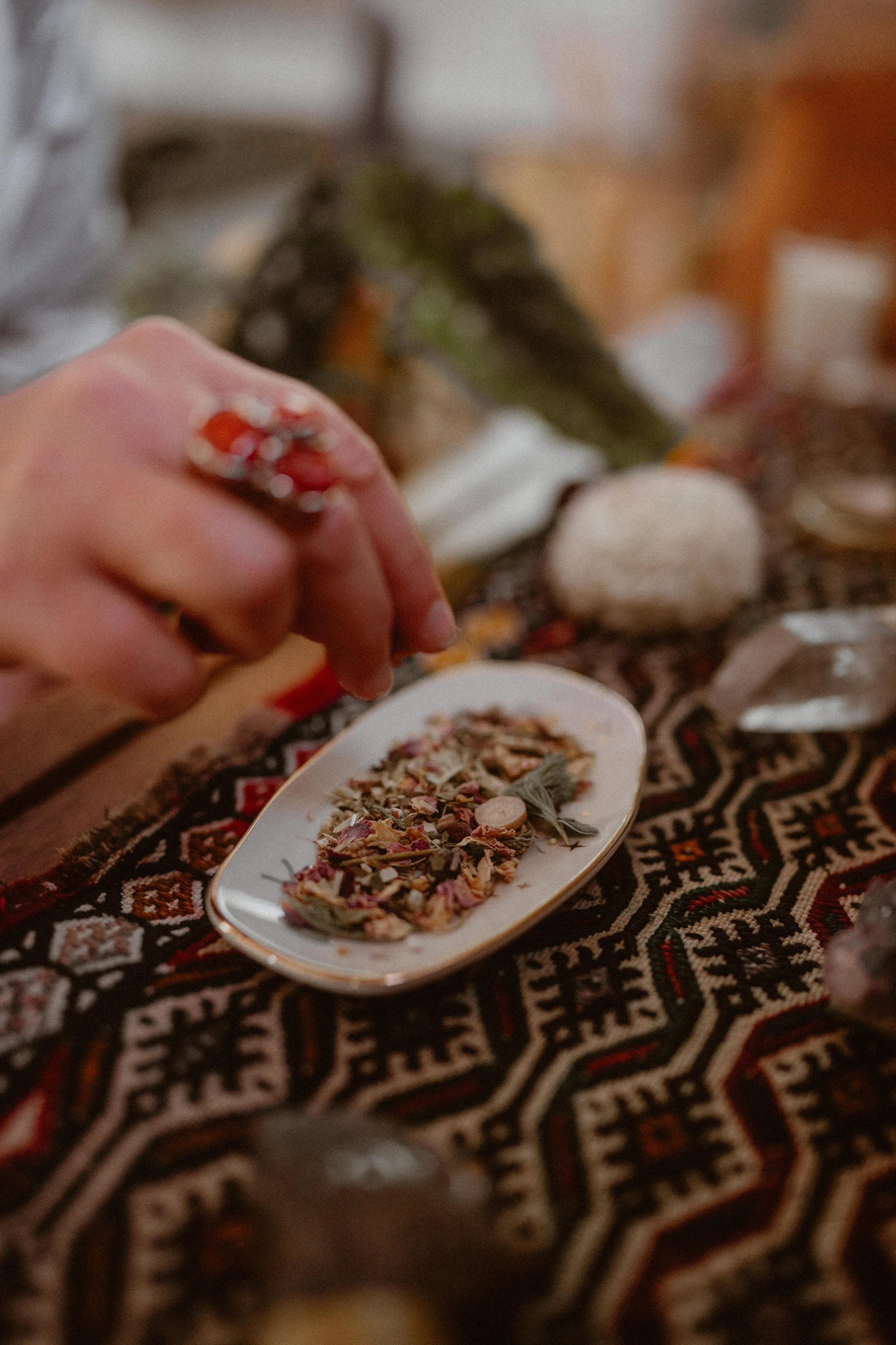 Many dark tree trunks.