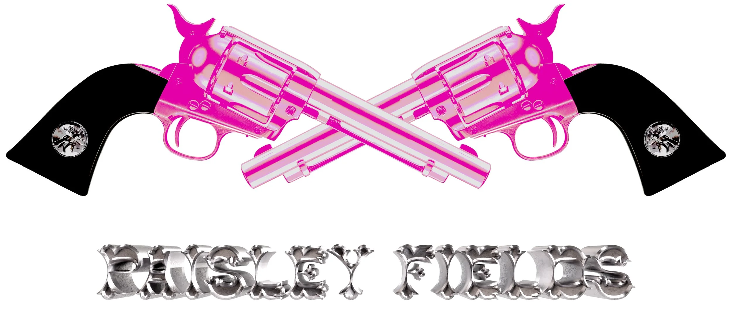 Revolvers with 3D nameplate design.