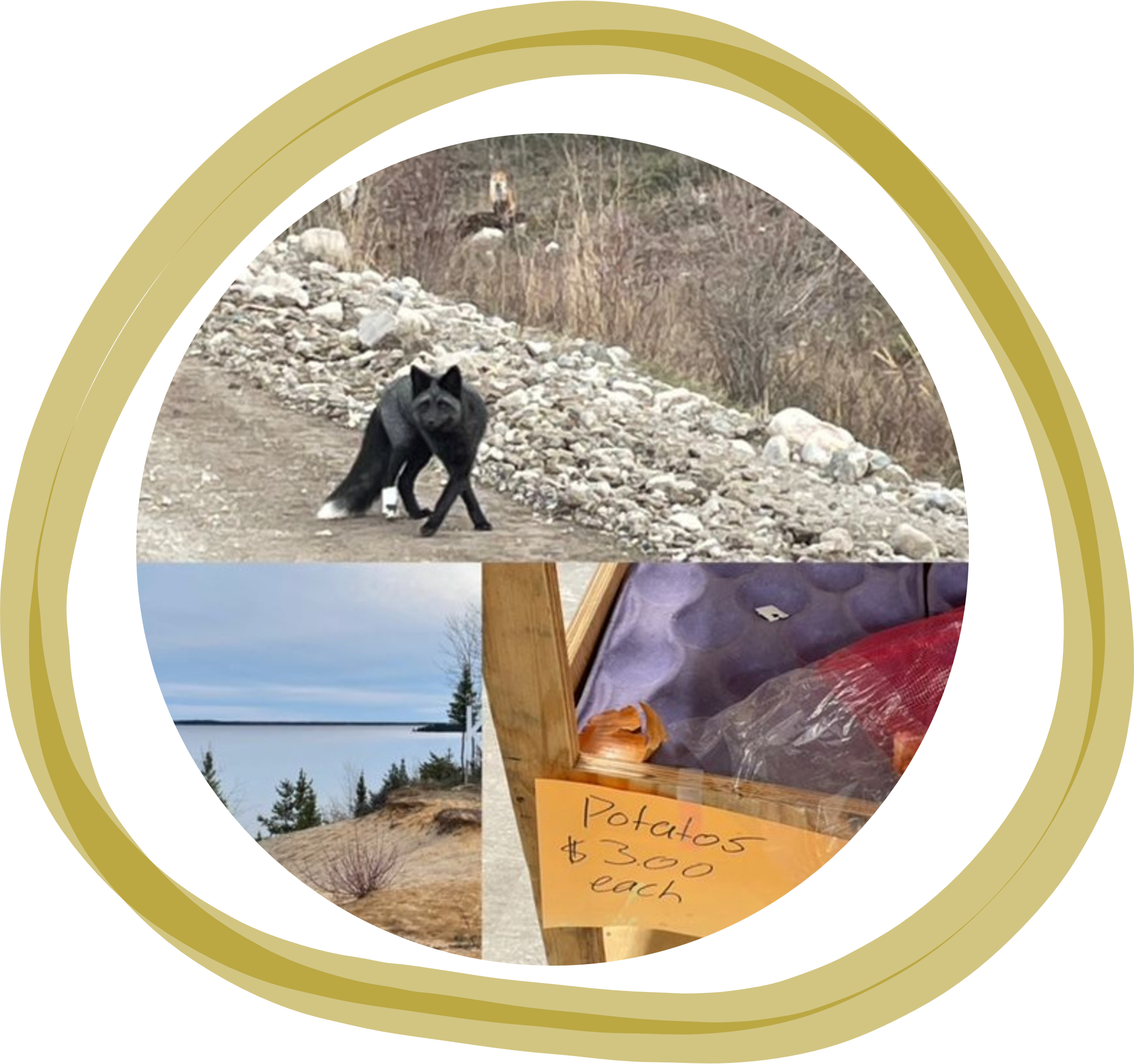 A collage of photos from Big Trout Lake, where we travelled for a Lateral Violence to Lateral Kindness workshop