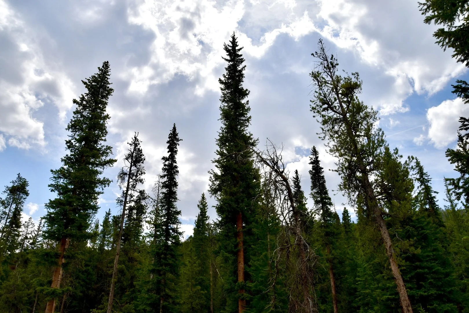 DSC_0494.jpg