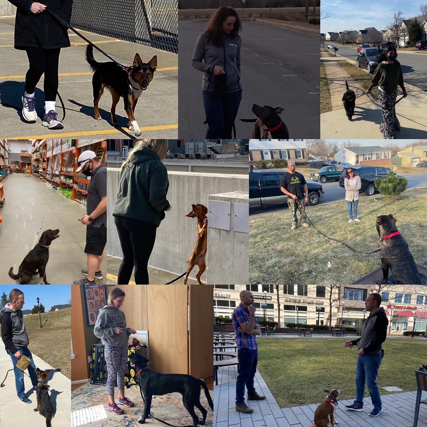 Edge K9: Building dogs &bull; Coaching owners &bull; 1 leash at a time 

A quick glance back at some of the awesome dogs and owners I got the pleasure of working with this week.  Some new to the Edge Community and familiar faces. 

Great week of trai