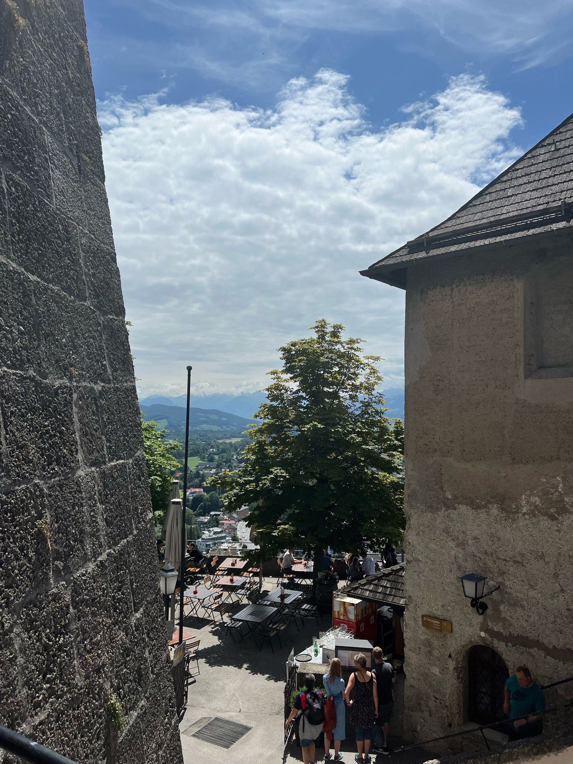 IMG_8393.jpeg