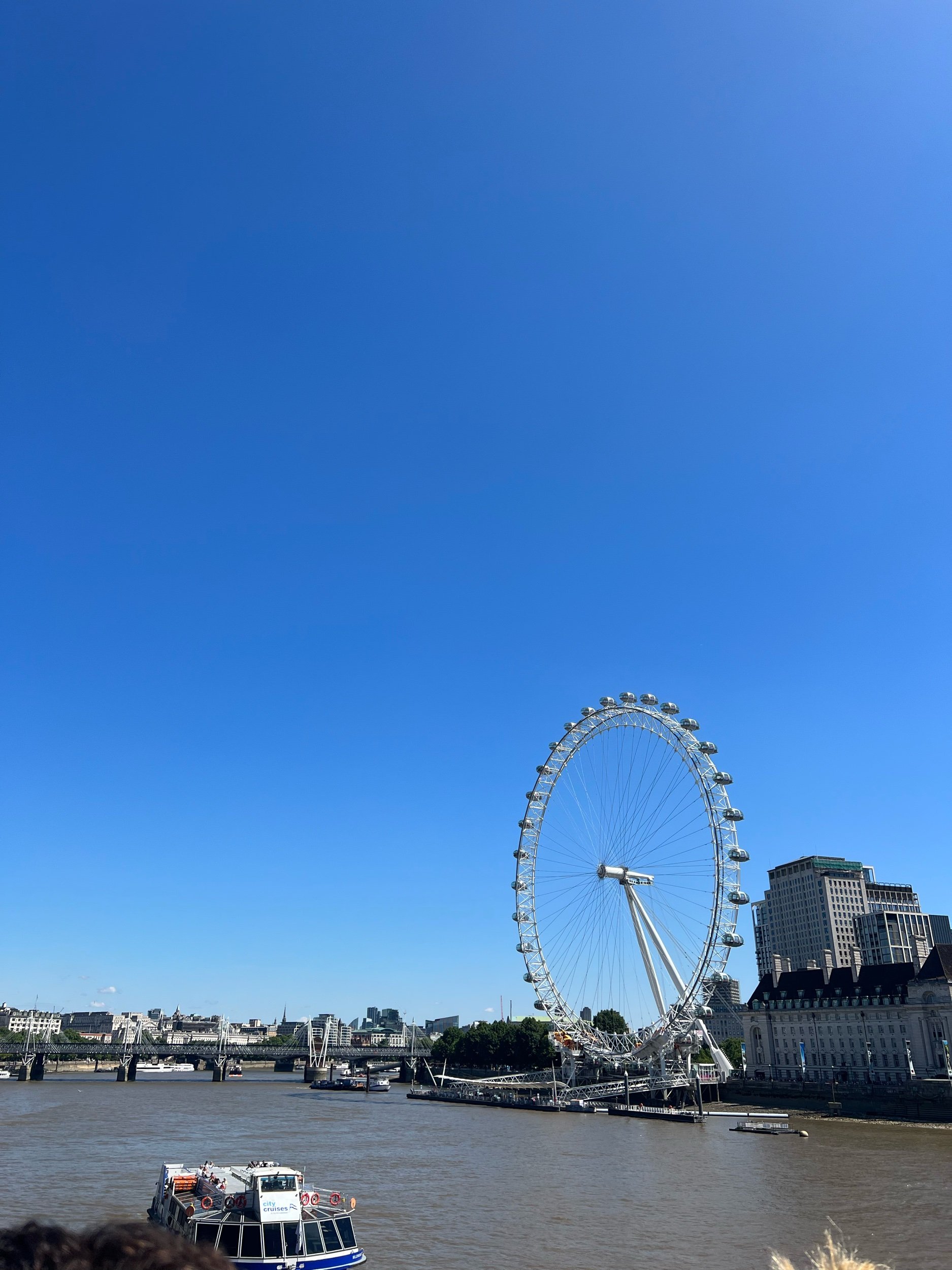 IMG_8945.jpeg