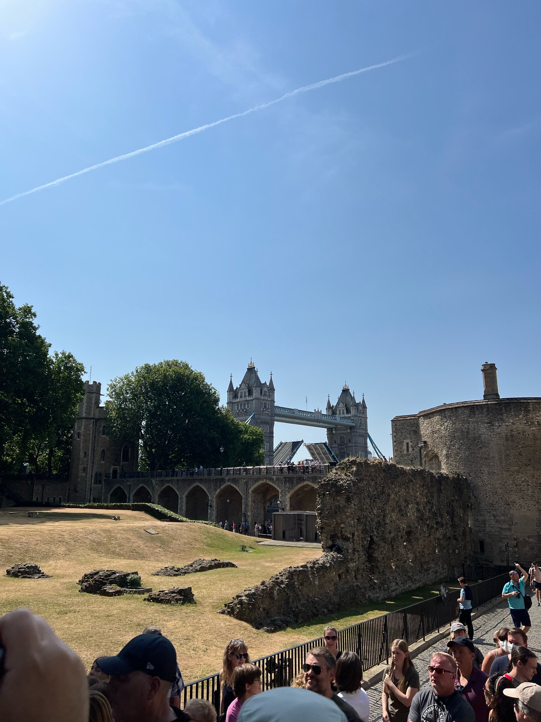 IMG_9354.jpeg