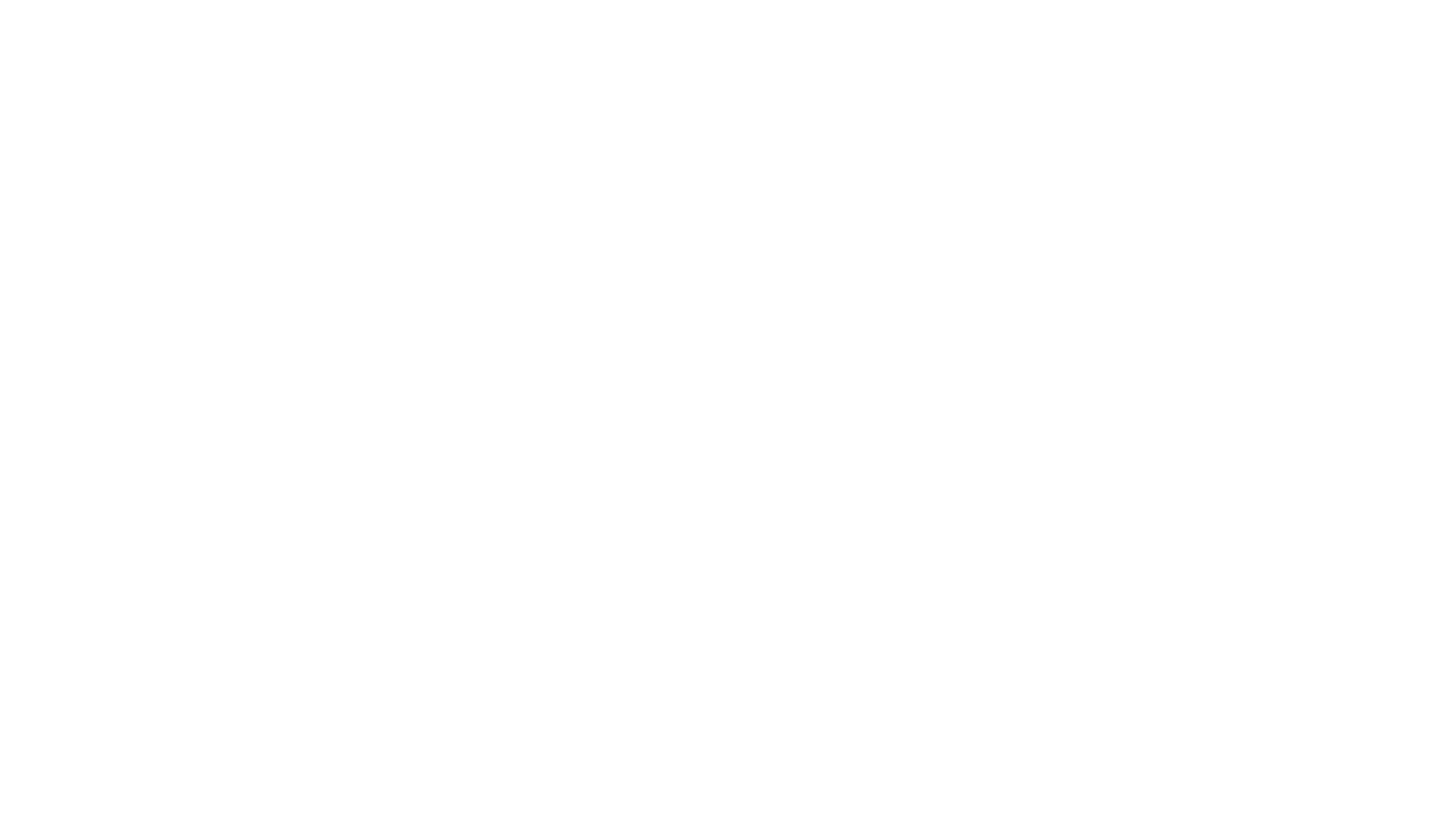 The Book Carver