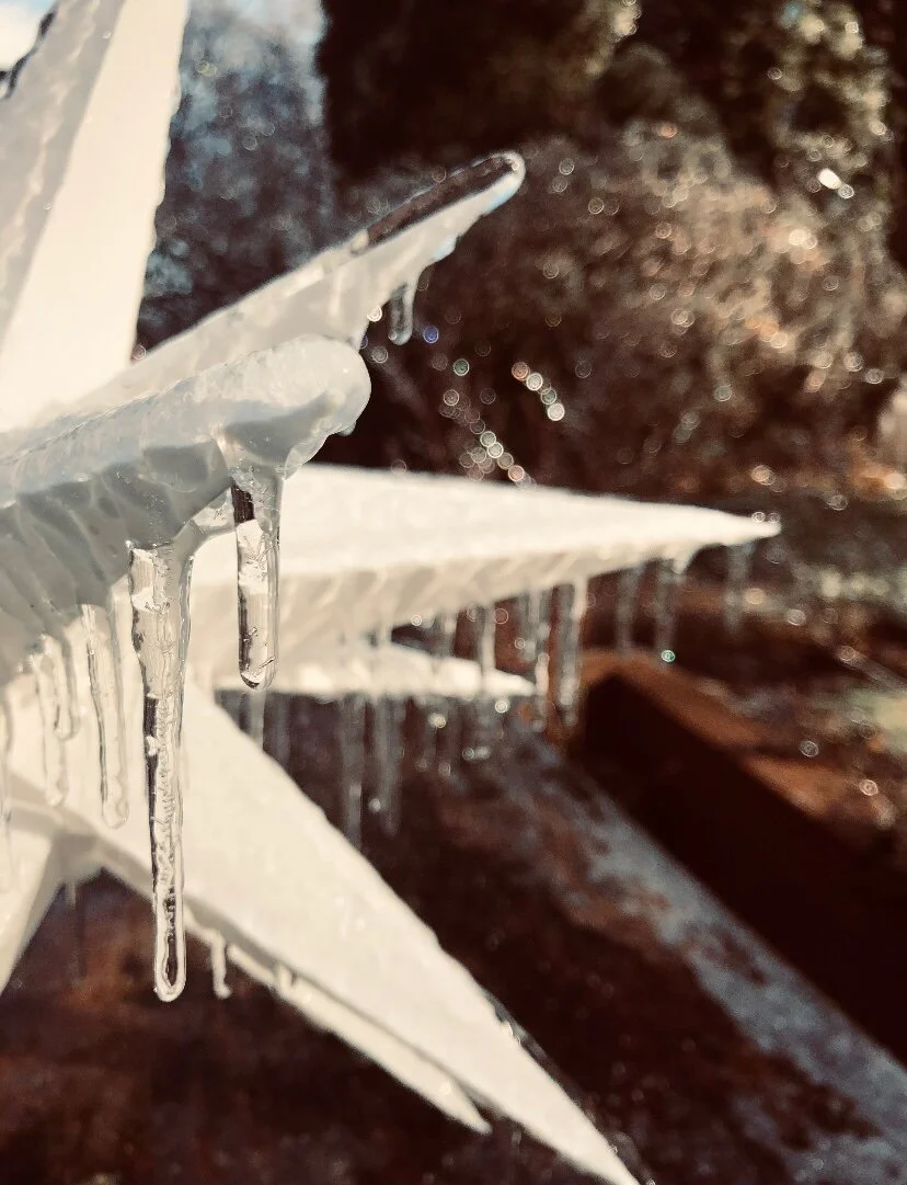 The Gift of Impermanence 