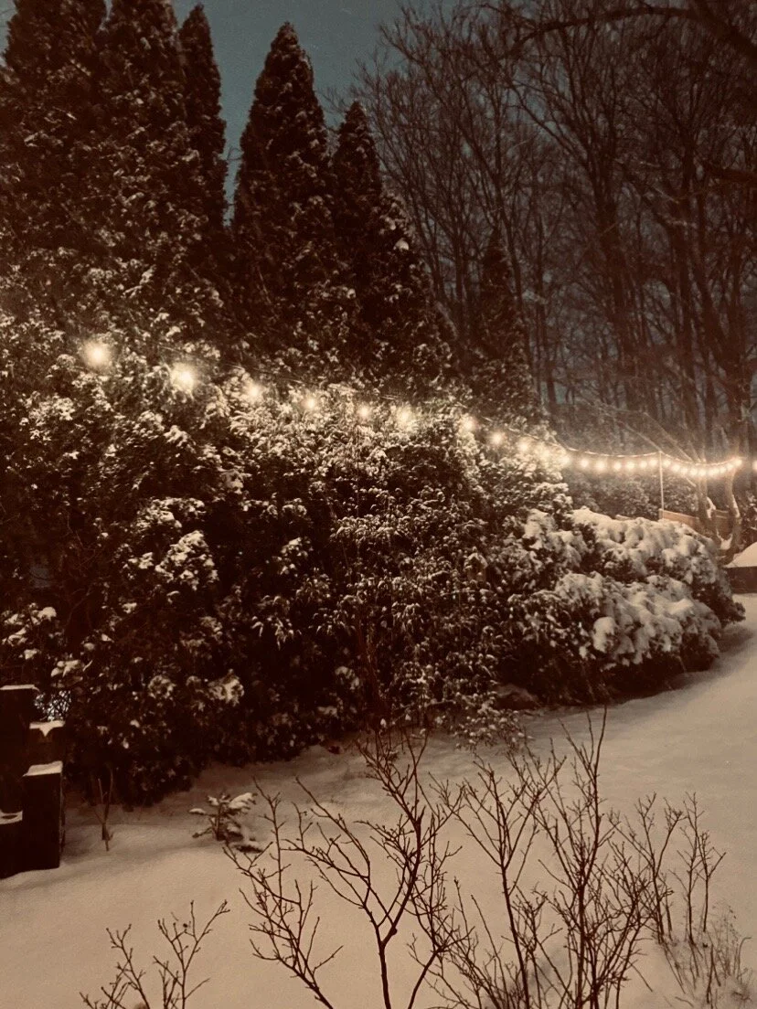 Darkness, Nourishment