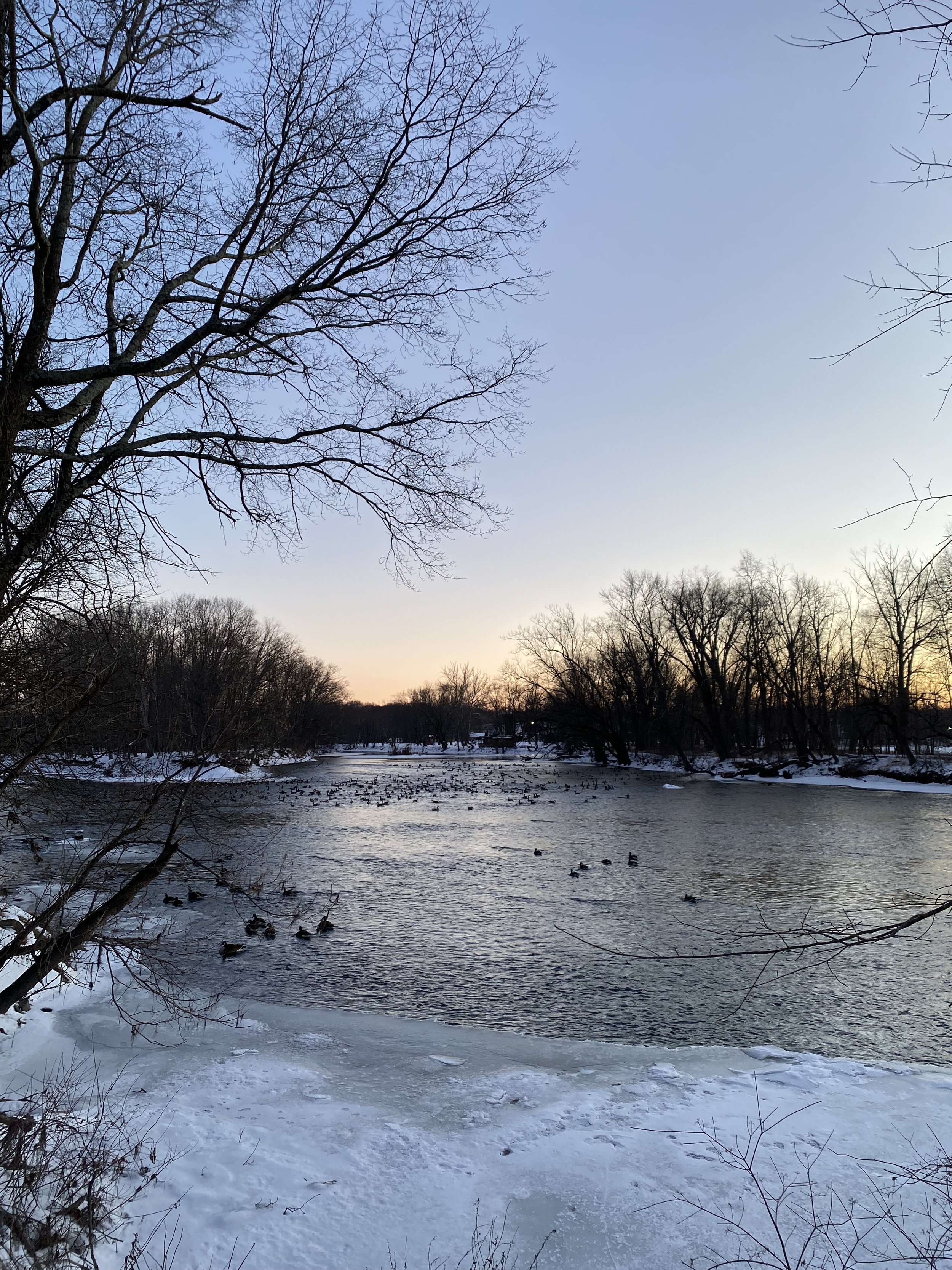 IMG_7261.jpeg