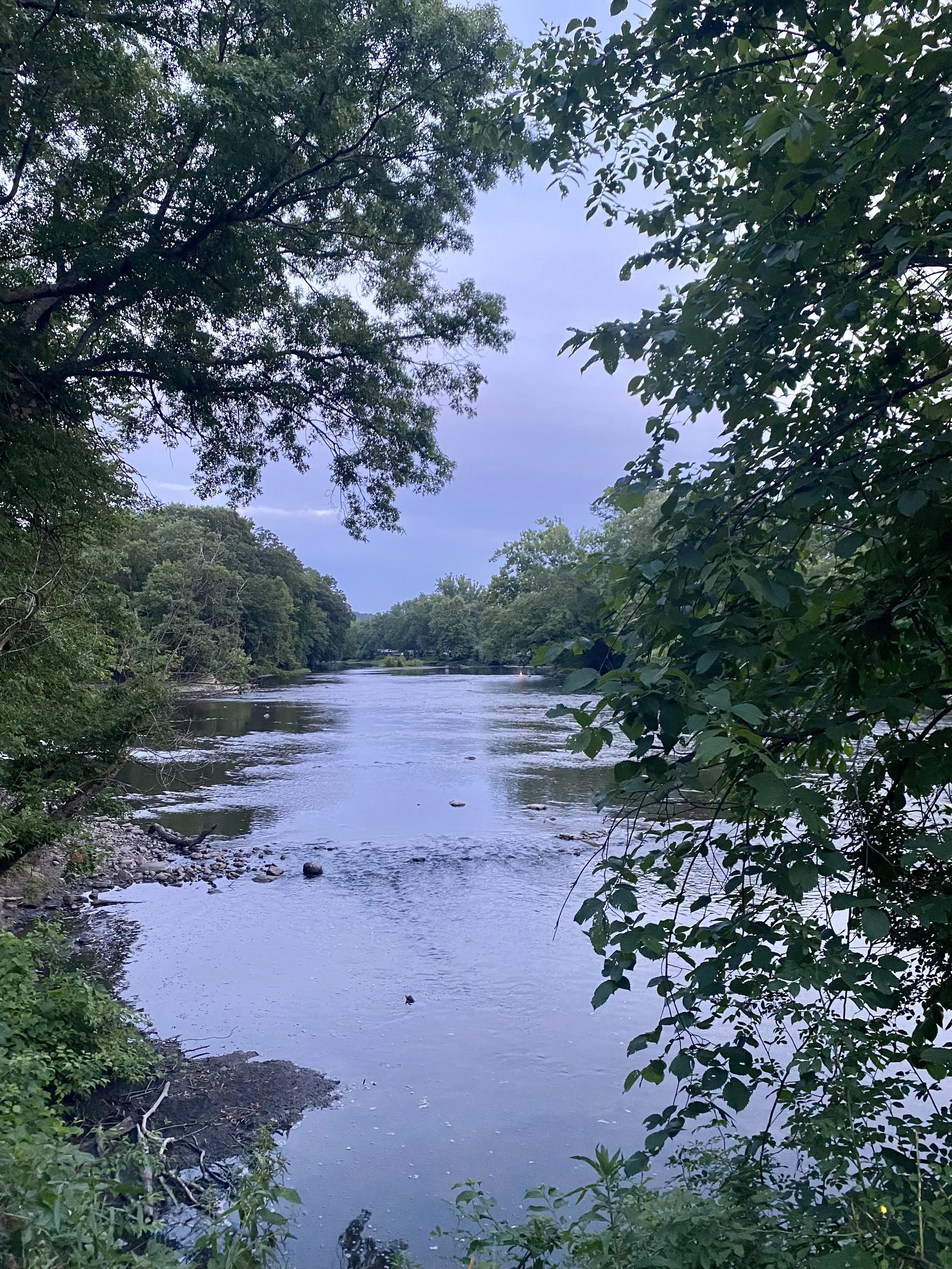 IMG_9034.jpeg