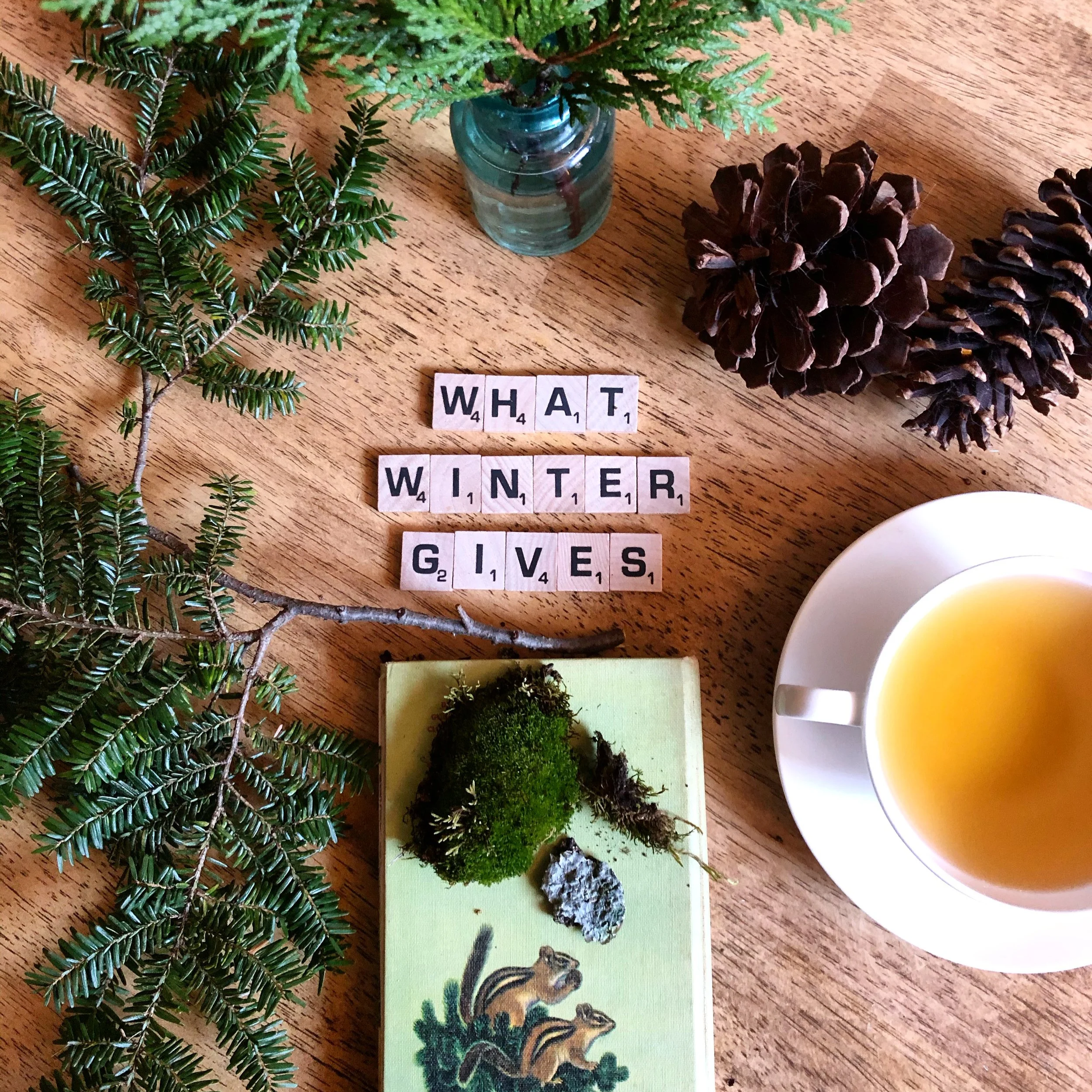 Winter solstice gathering (in-person)
