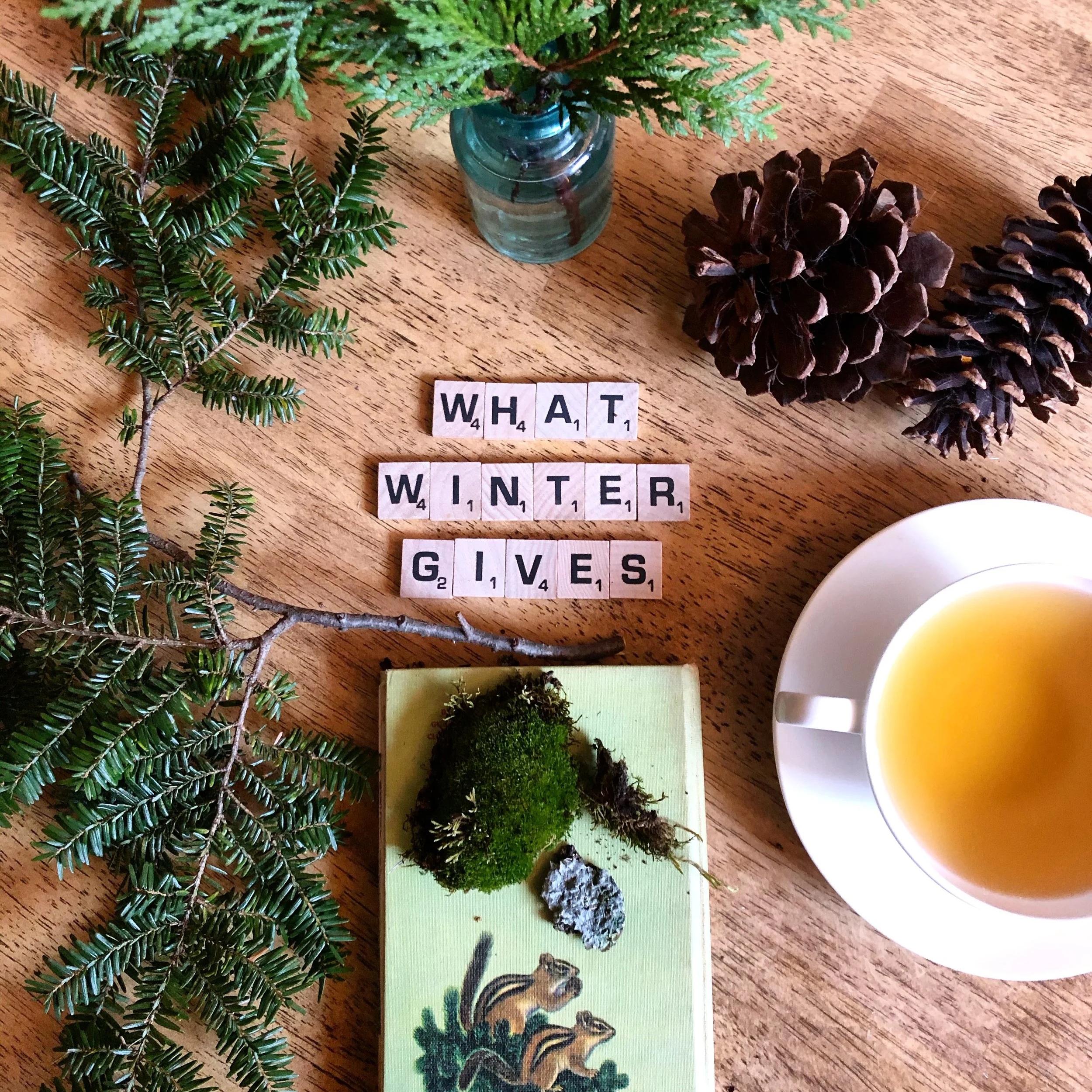 Winter solstice gathering (virtual)
