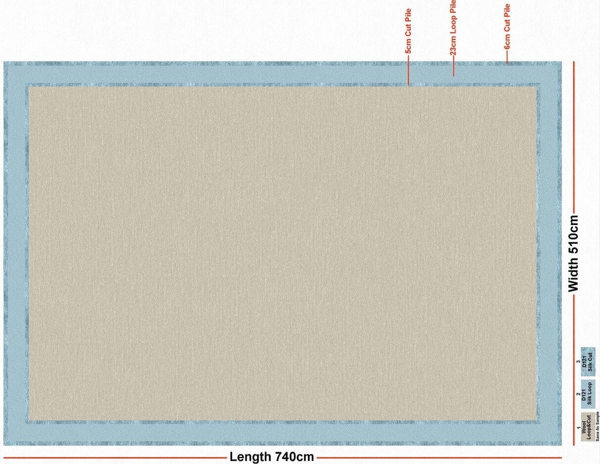 blue and cream rug rendering.jpeg