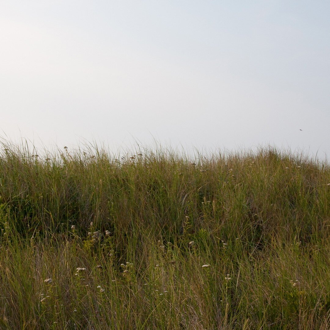 From Jo Harjo: &quot;We begin with the land. We emerge from the earth of our mother, and our bodies will be returned to earth. We are the land. We cannot own it, no matter any proclamation by paper state. We are literally the land, a planet. Our spir