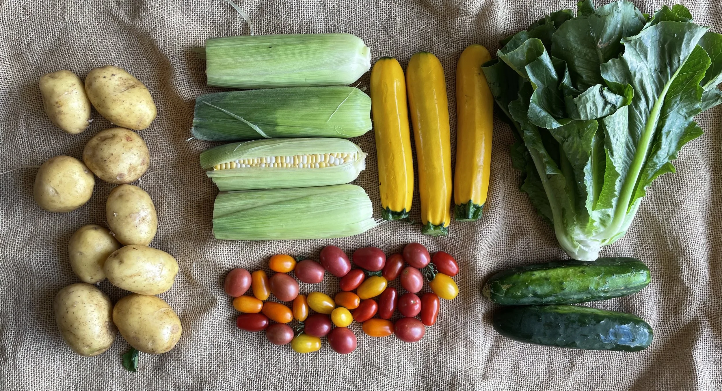 PARTIAL SHARE FALL CSA PROGRAM