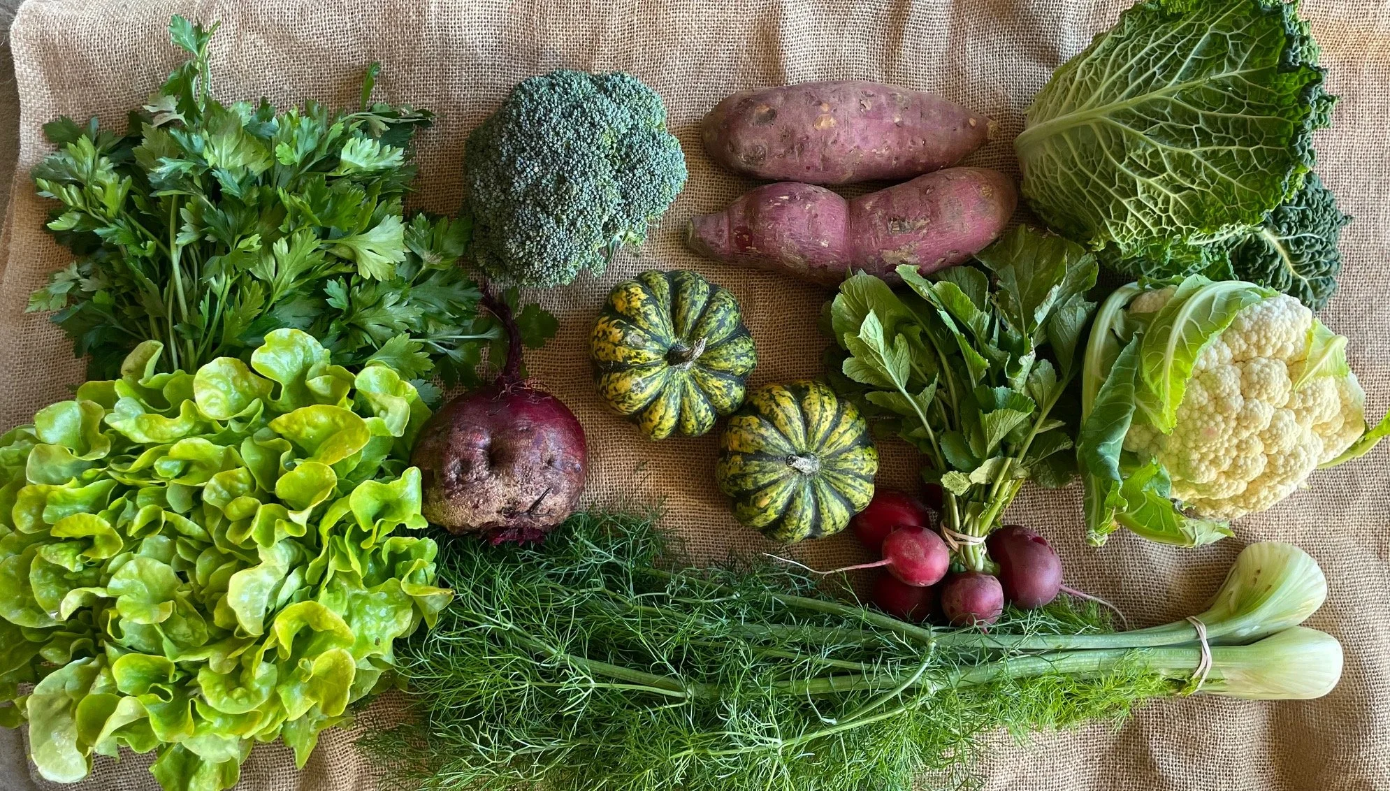 FULL SHARE FALL CSA PROGRAM