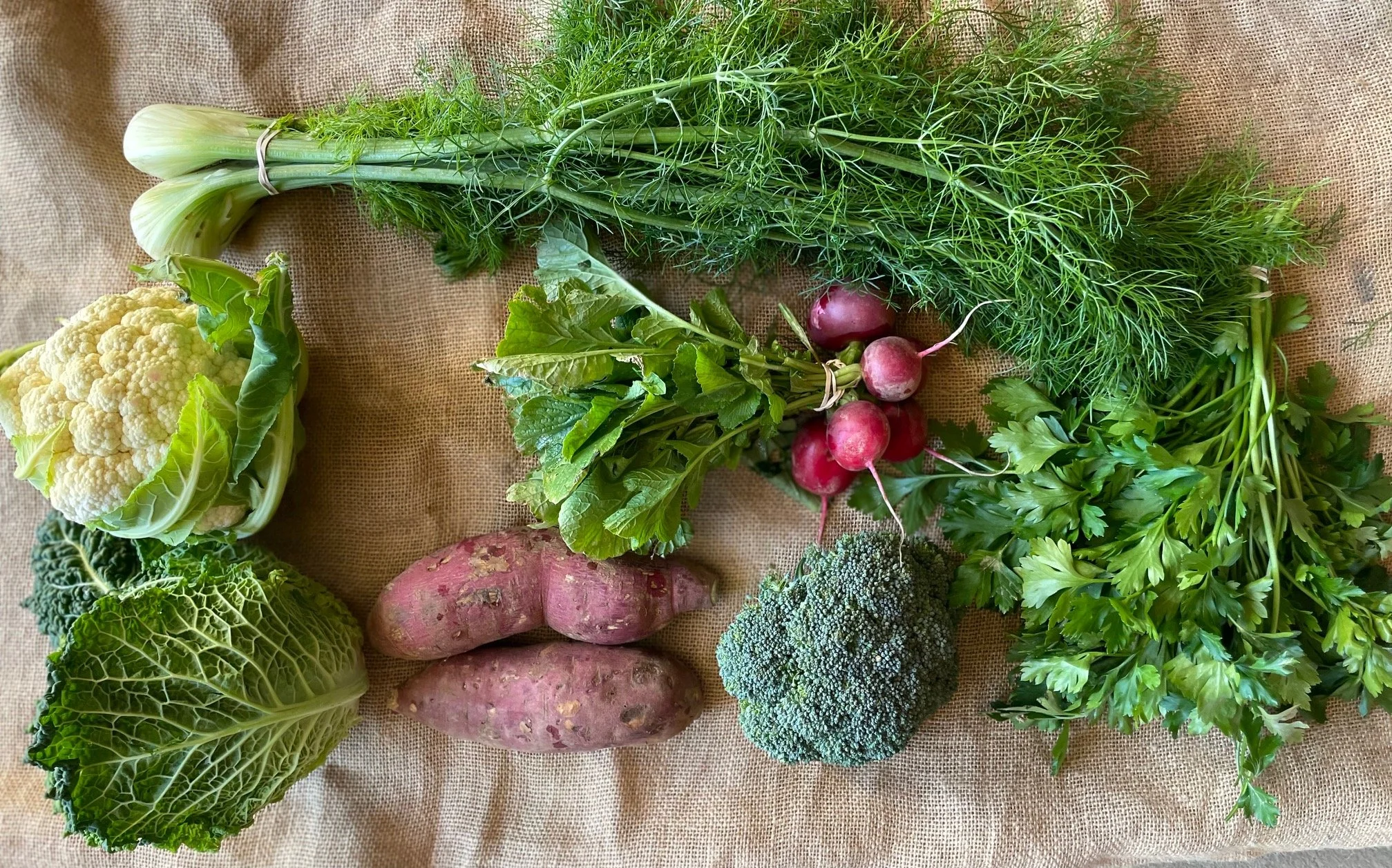 PARTIAL SHARE FALL CSA PROGRAM
