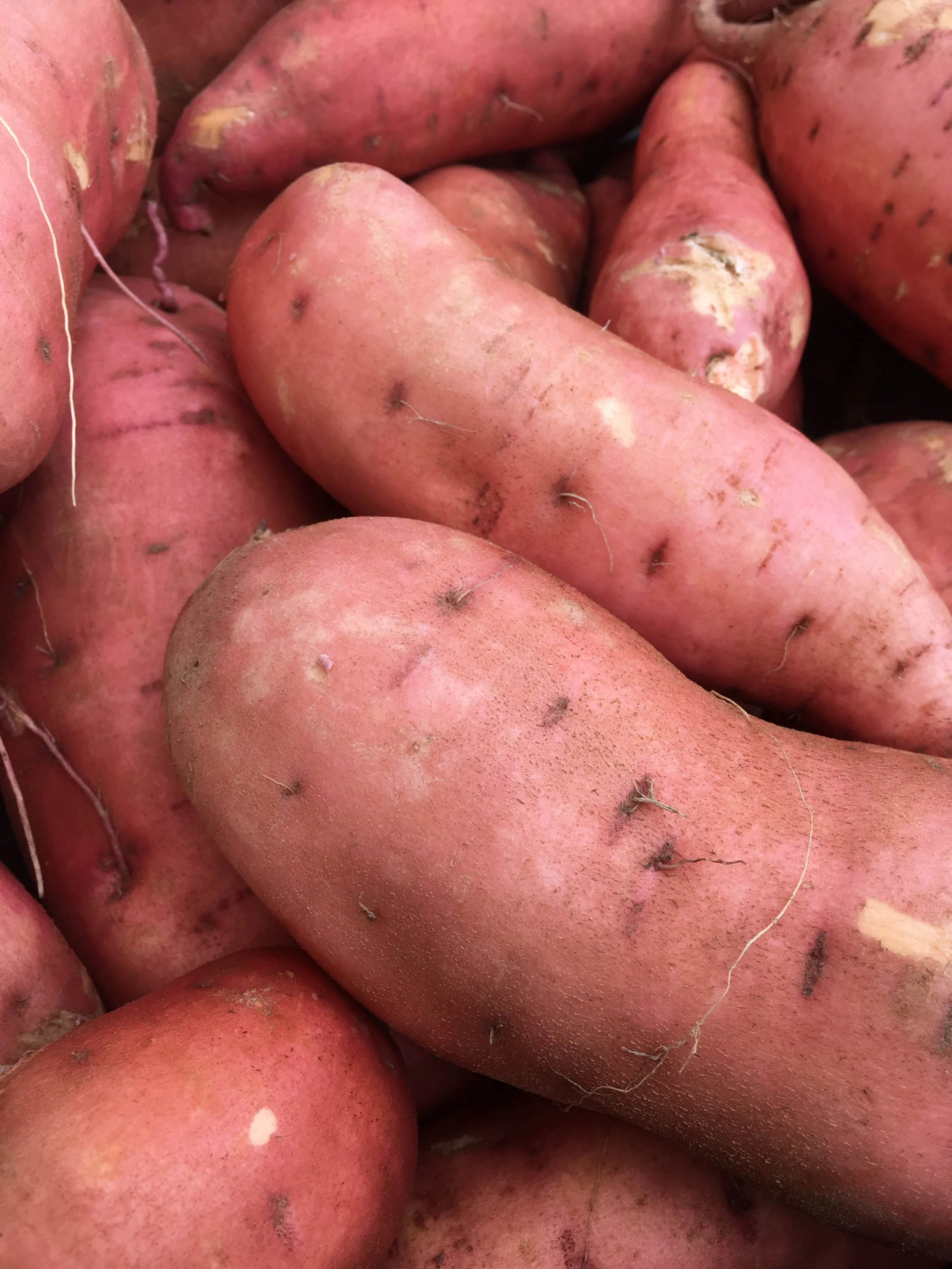 SWEET POTATOES