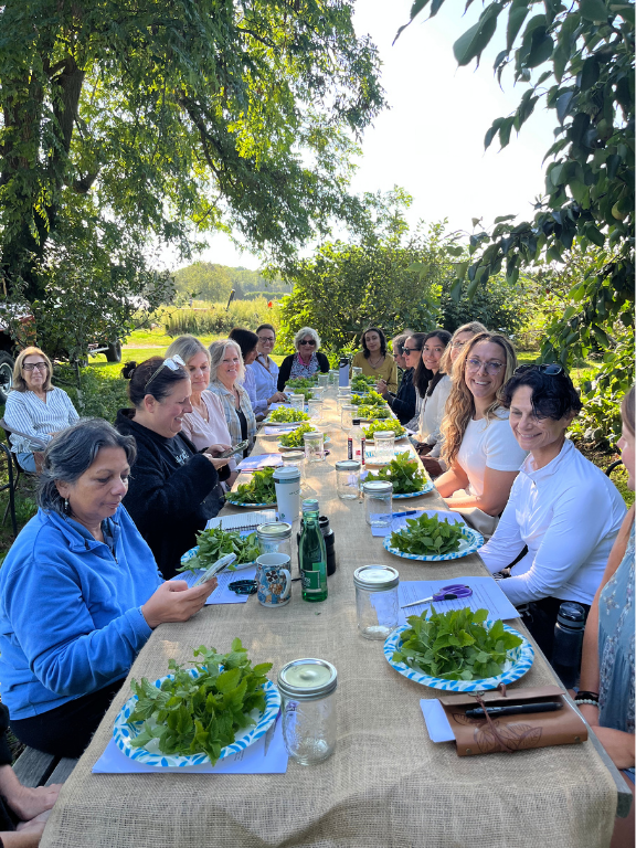 Making Herbal Medicine: Tinctures