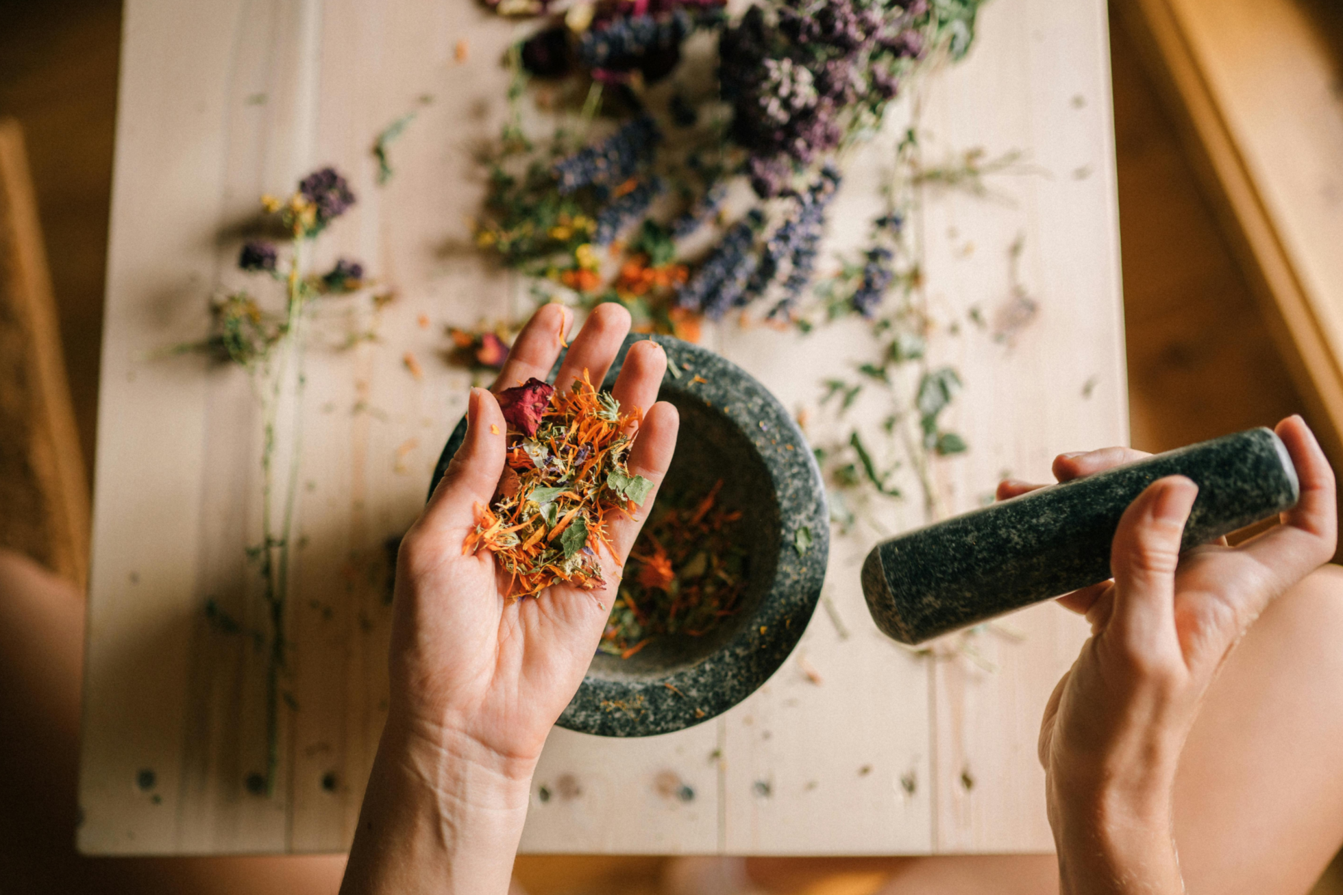 Introduction to Herbalism: For True Beginners