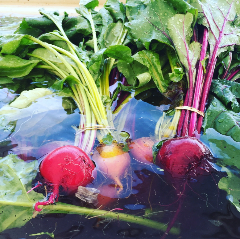 BEETS