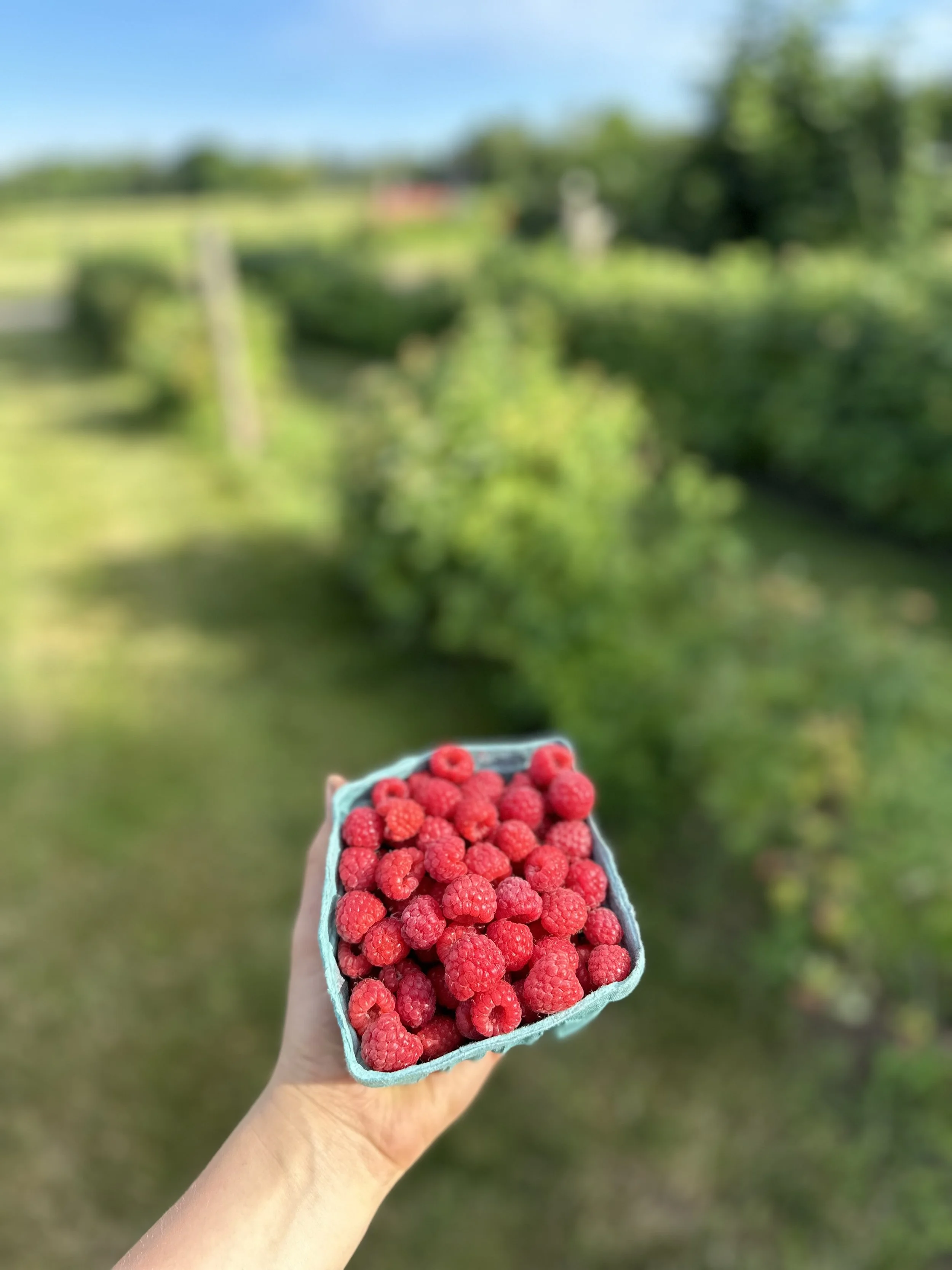 IMG_7863.jpeg