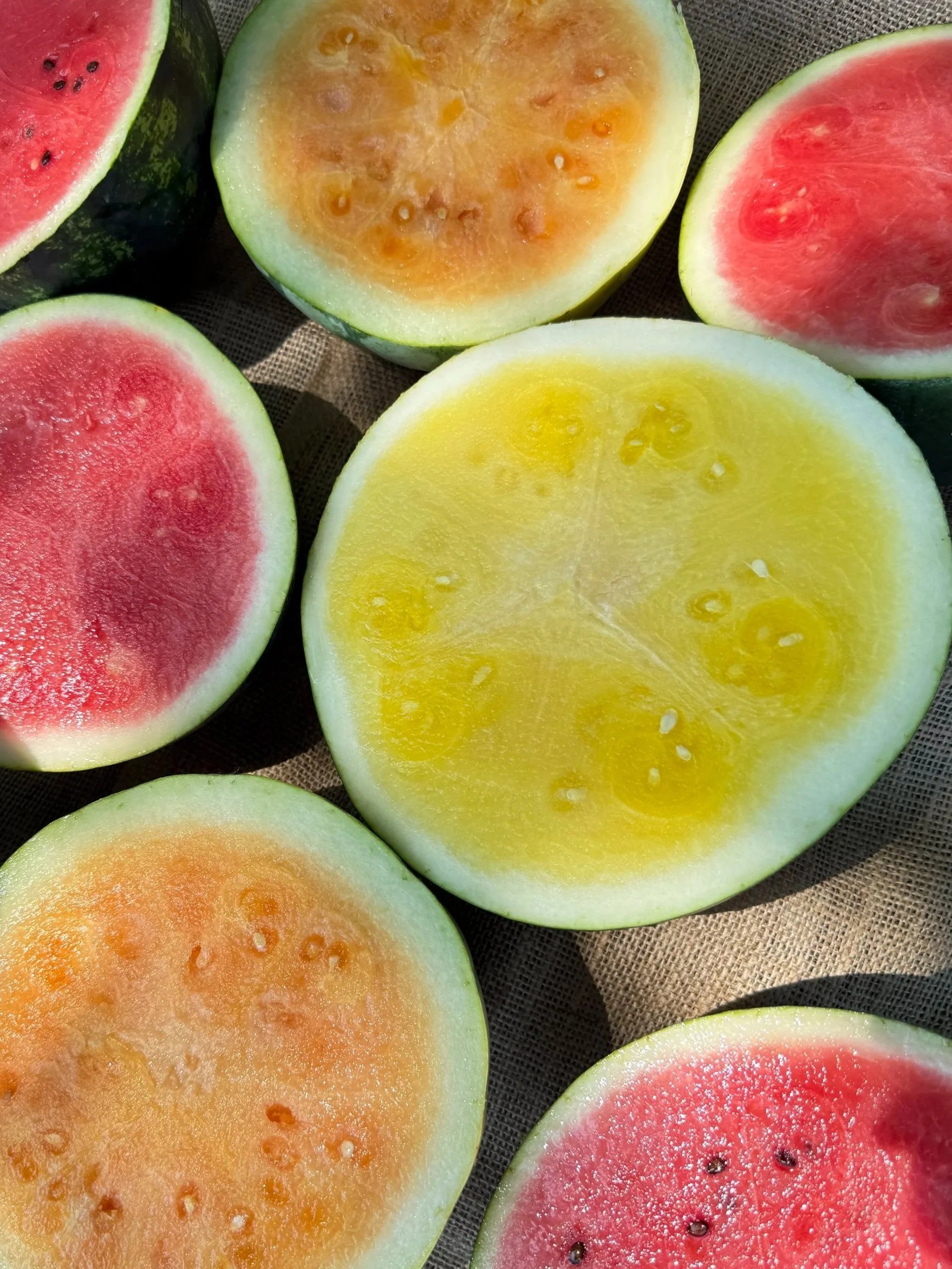 WATERMELON
