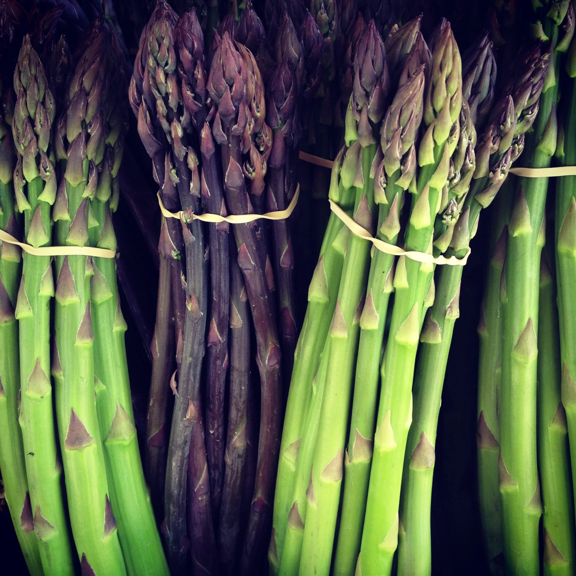 ASPARAGUS
