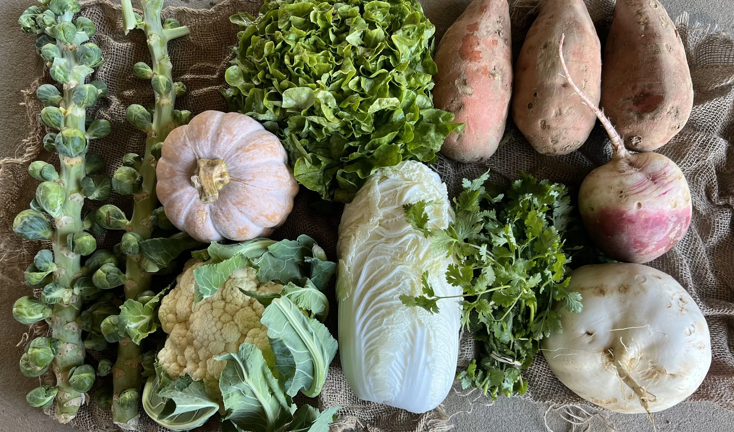 EARLY WINTER CSA NOW OPEN!