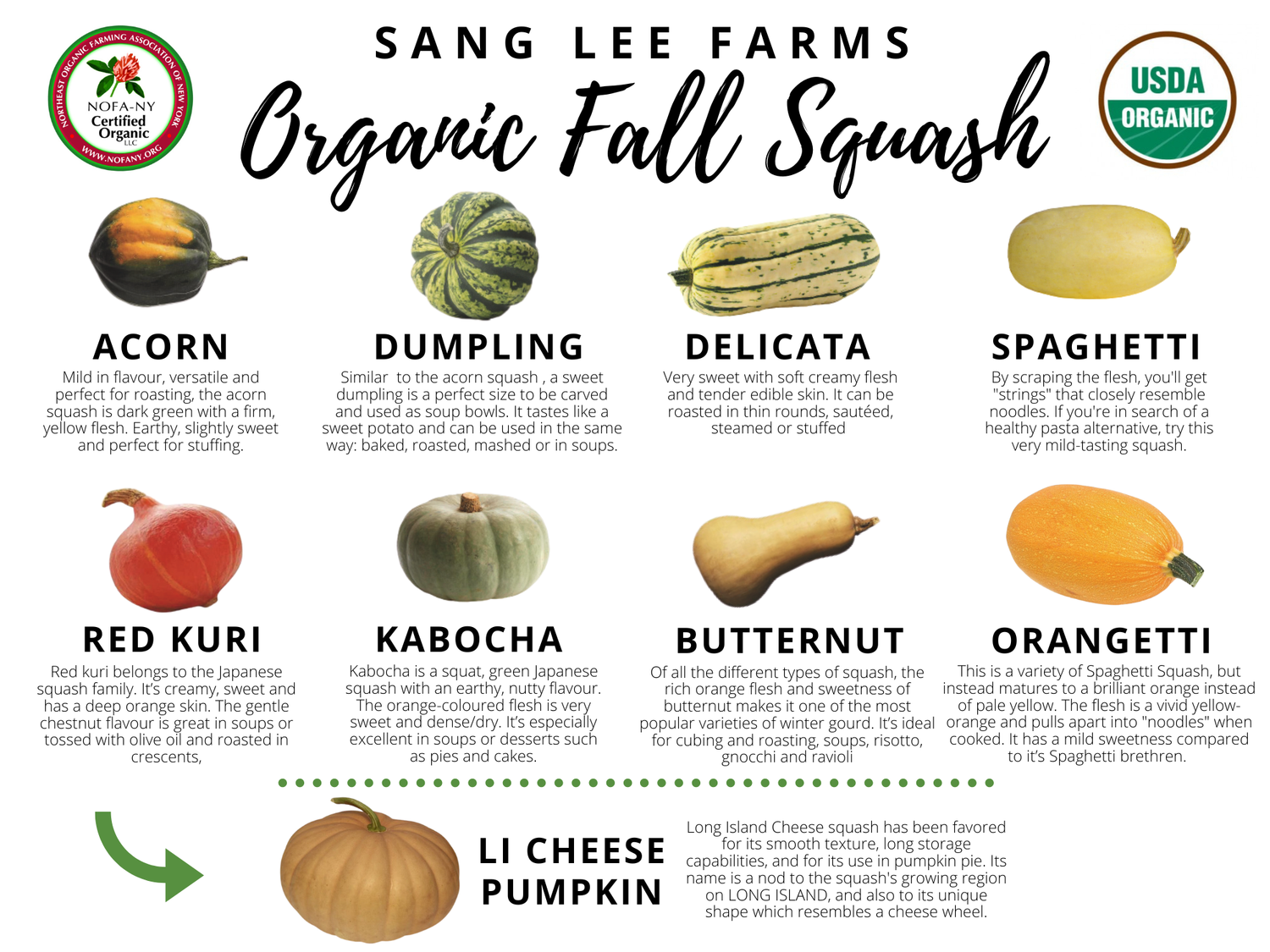 FALL SQUASH — Sang Lee Farms