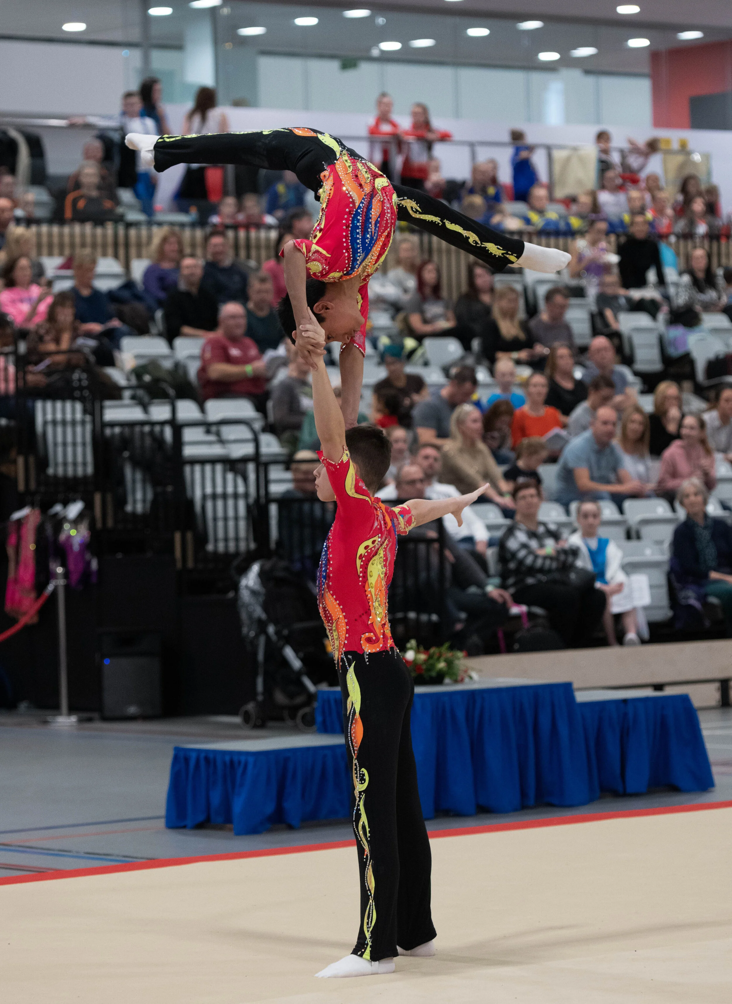 Gallery 2 — Tigers Gymnastics Centre