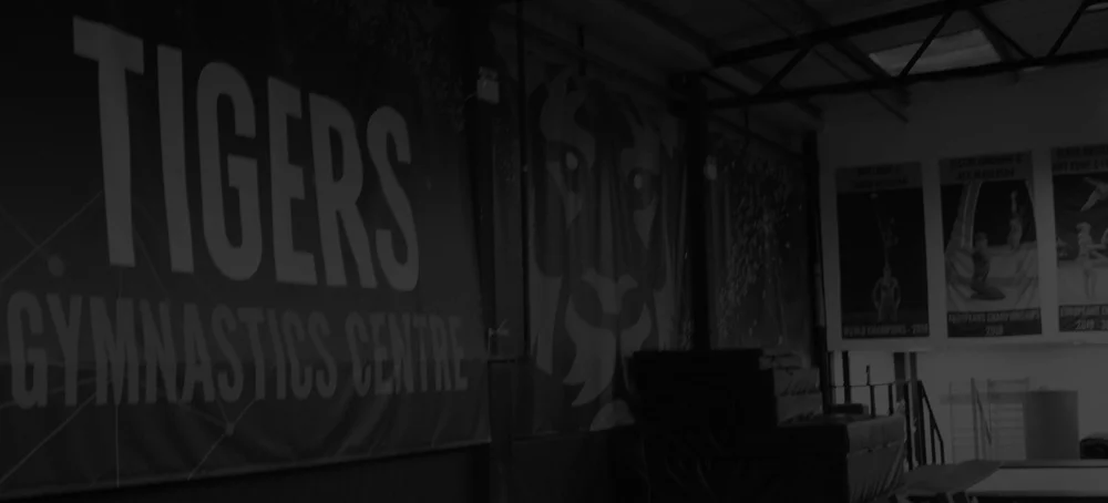 Tigers Gymnastics Centre - Tunbridge Wells, Kent