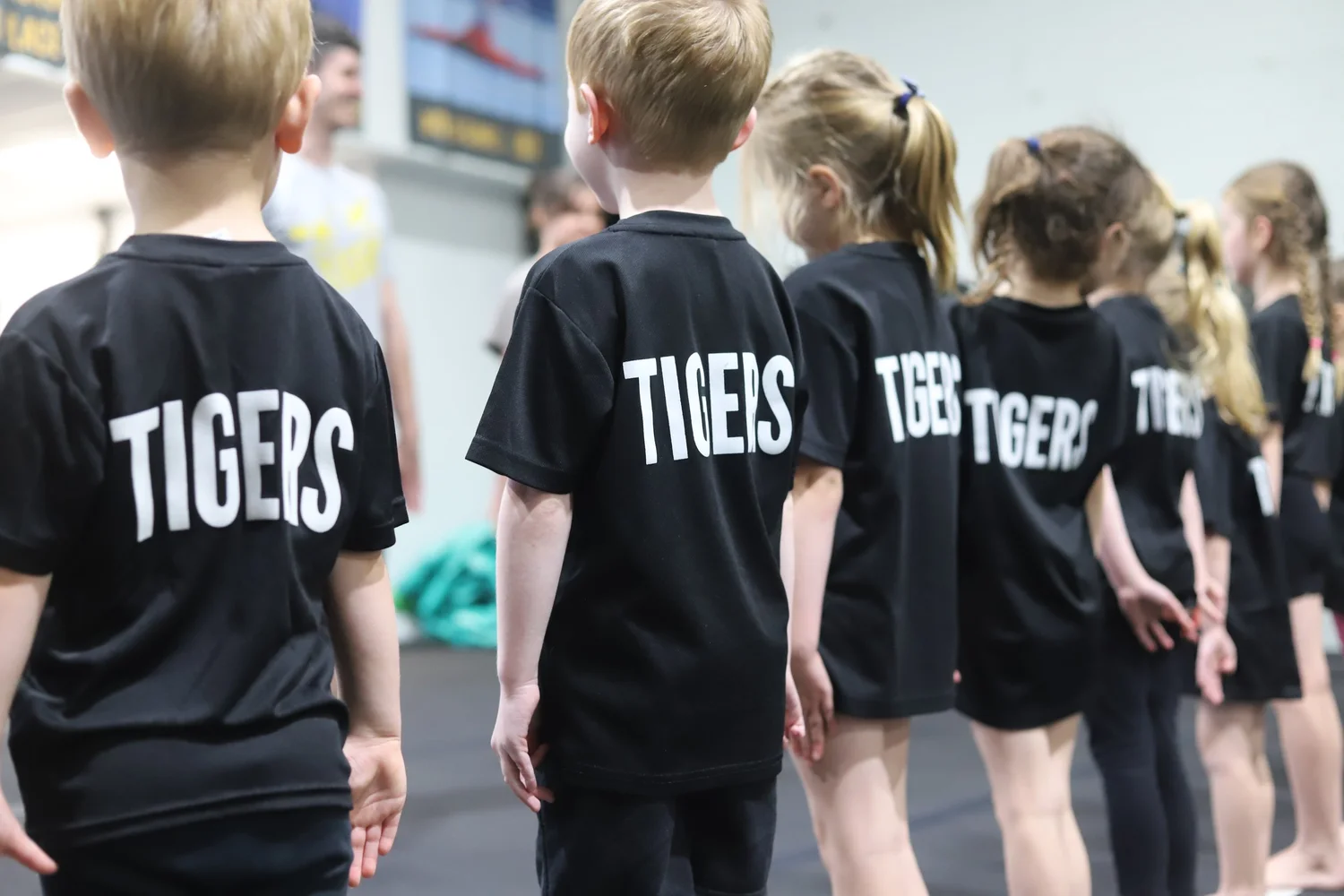 Tigers Gymnastics Centre - Tunbridge Wells, Kent