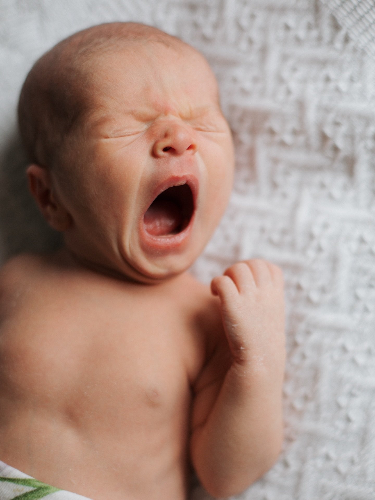 Today&rsquo;s Agenda - Eat, Sleep, Eat. Repeat 🤍