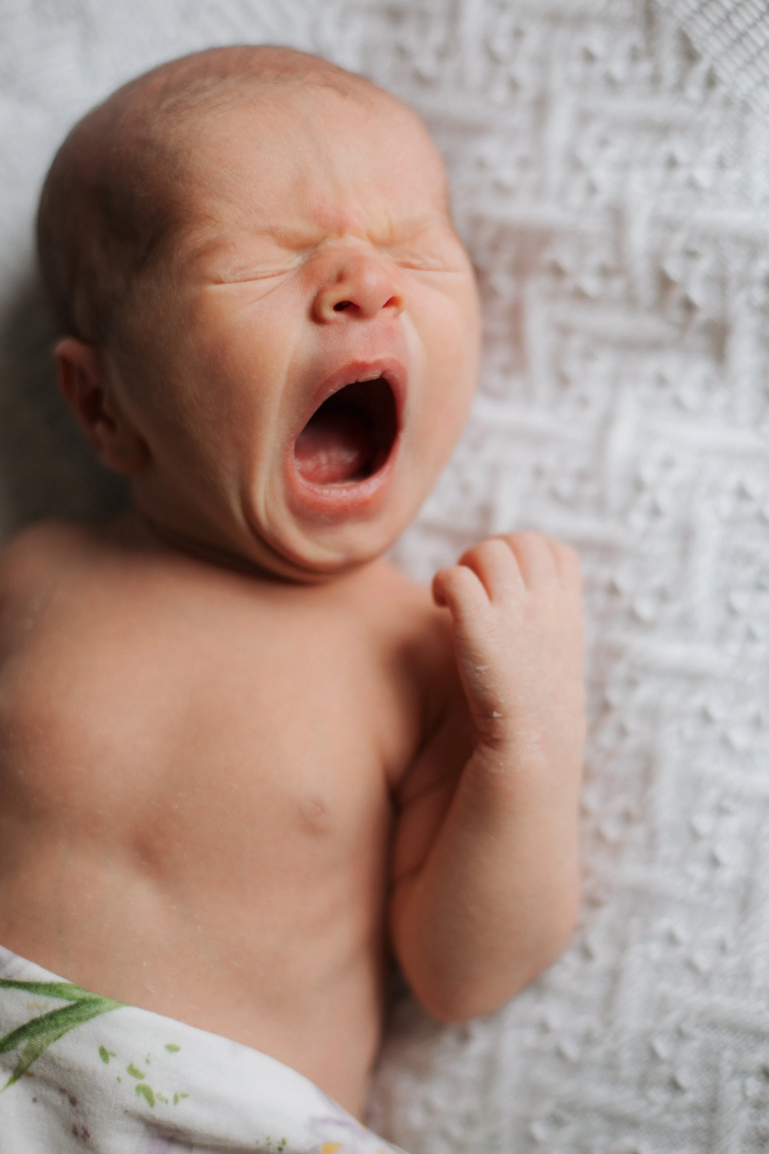 Cle_Oh_Newborn_Session_WelcomeBabyIris_2025-198 (1).jpg