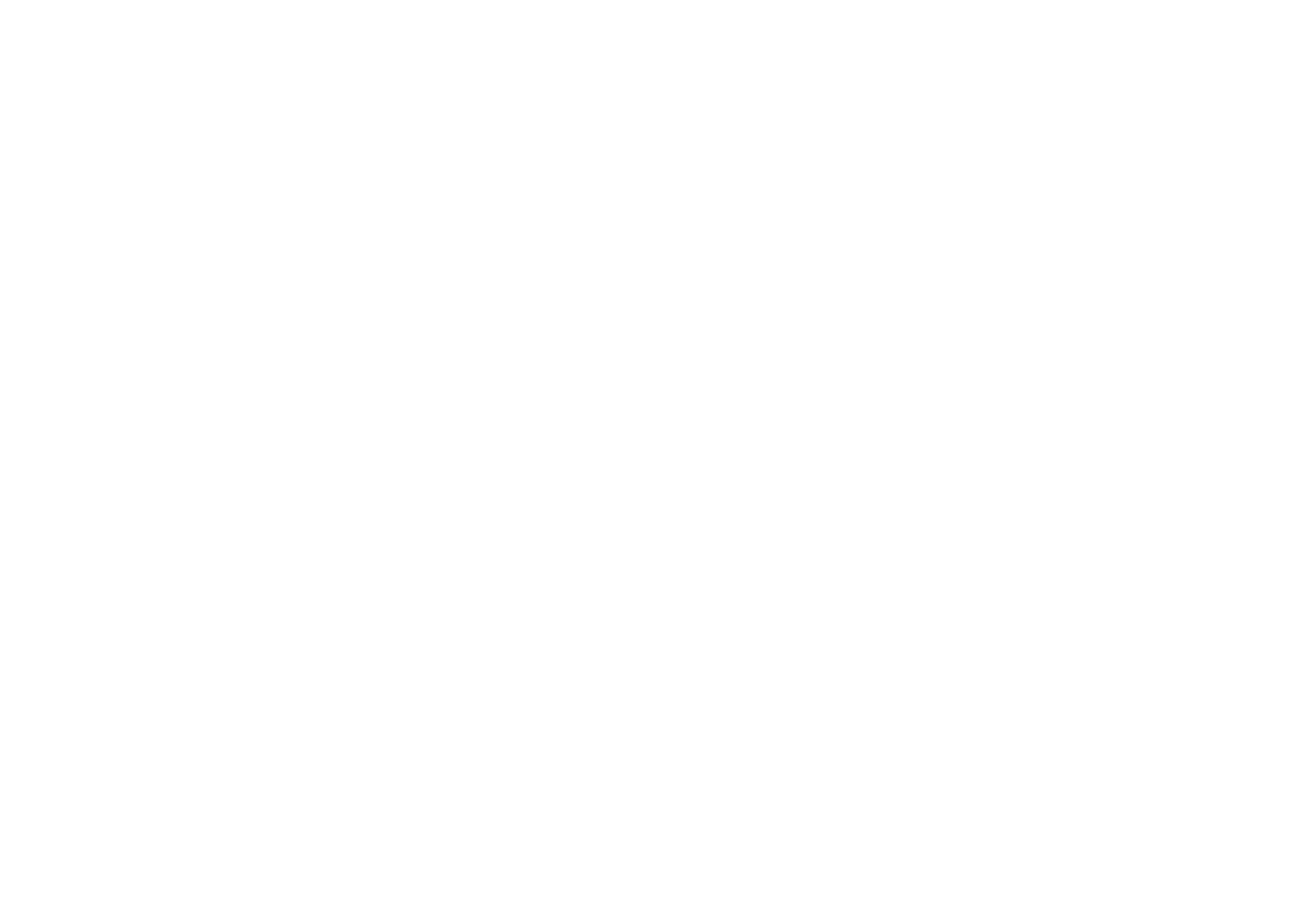 The Chicago Immigrant Orchestra