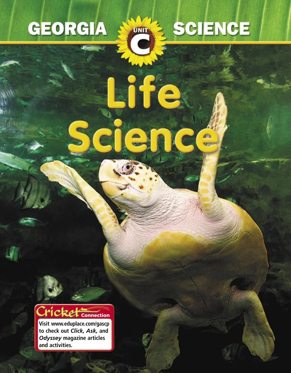 62961_UC01-1.jpg