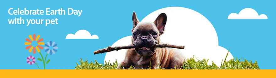 38793-164473_Pets+Earth+Day+Healthy+Pet_LS.jpg