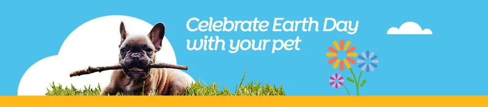 38793-164471_Pets+Earth+Day+Healthy+Pet_POV.jpg